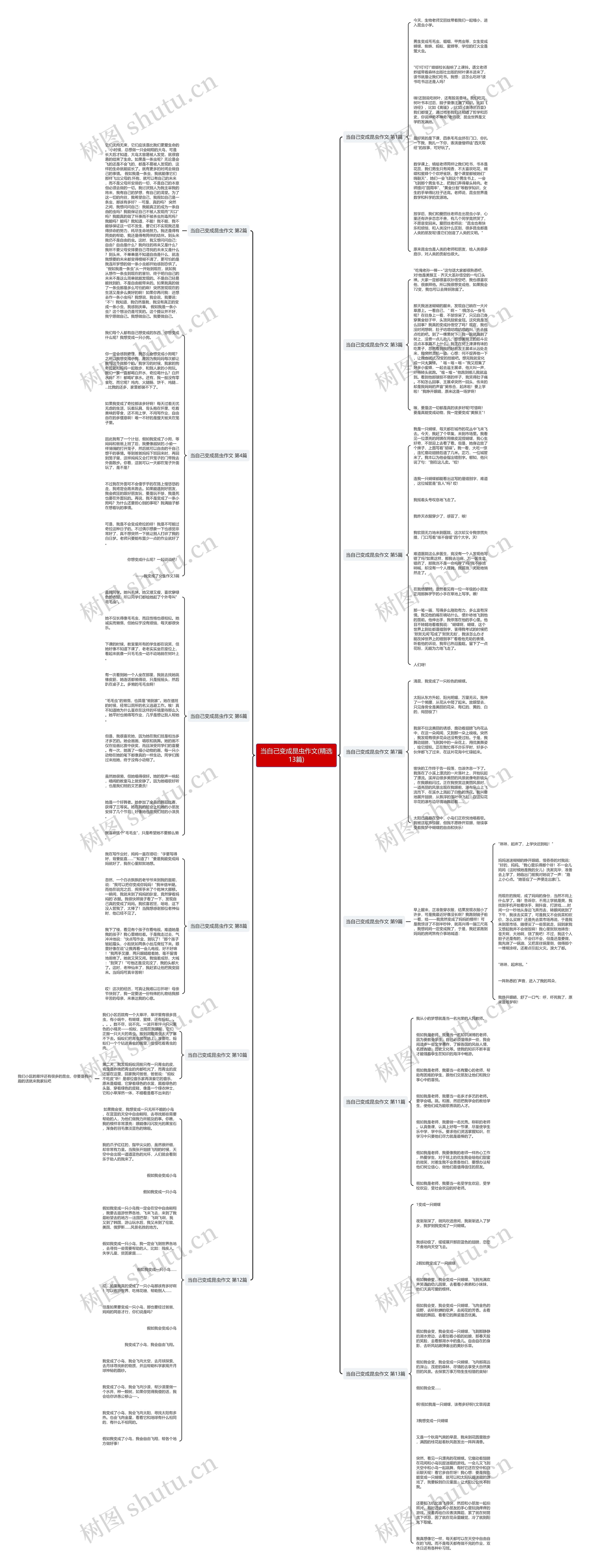 当自己变成昆虫作文(精选13篇)思维导图