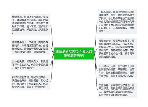 雨后清新唯美句子(夏天的唯美清新句子)