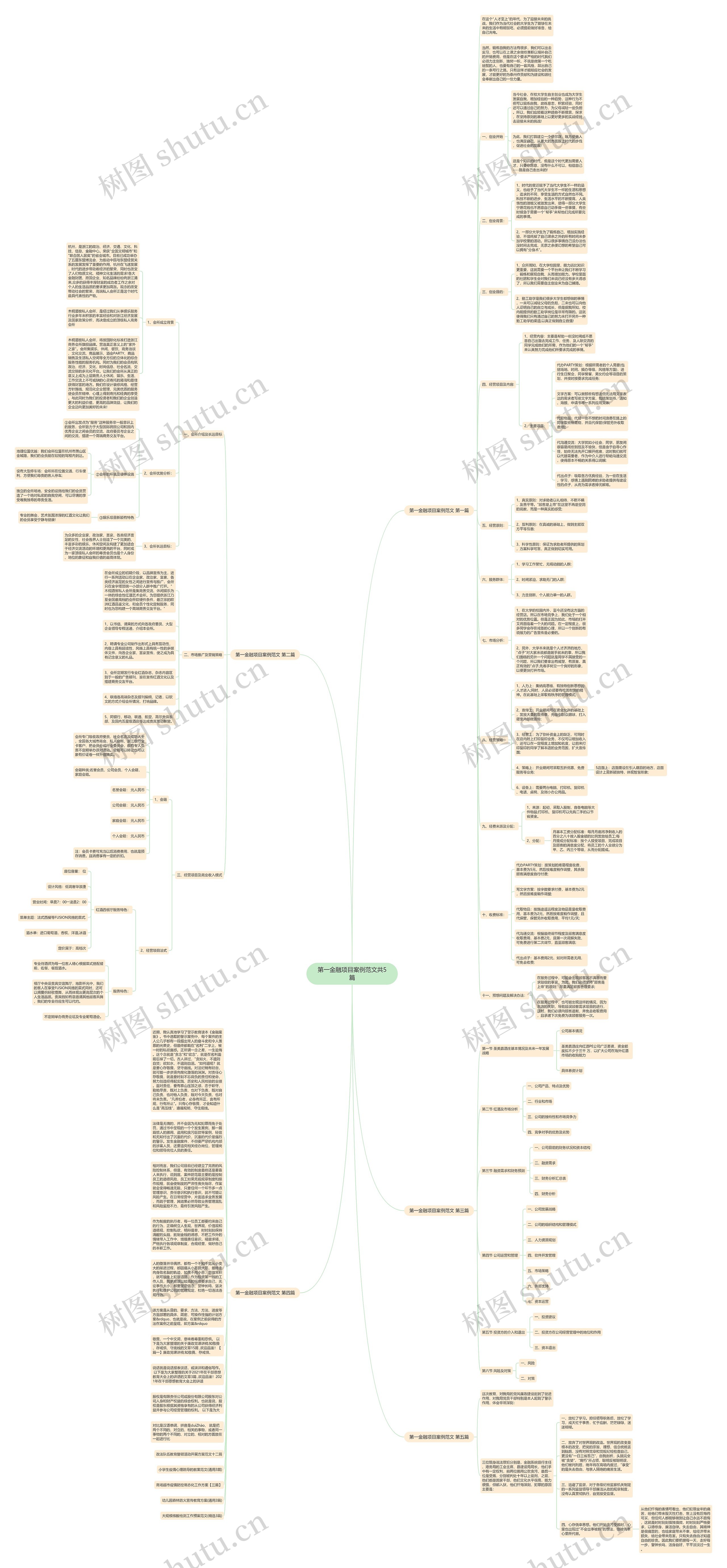 第一金融项目案例范文共5篇思维导图