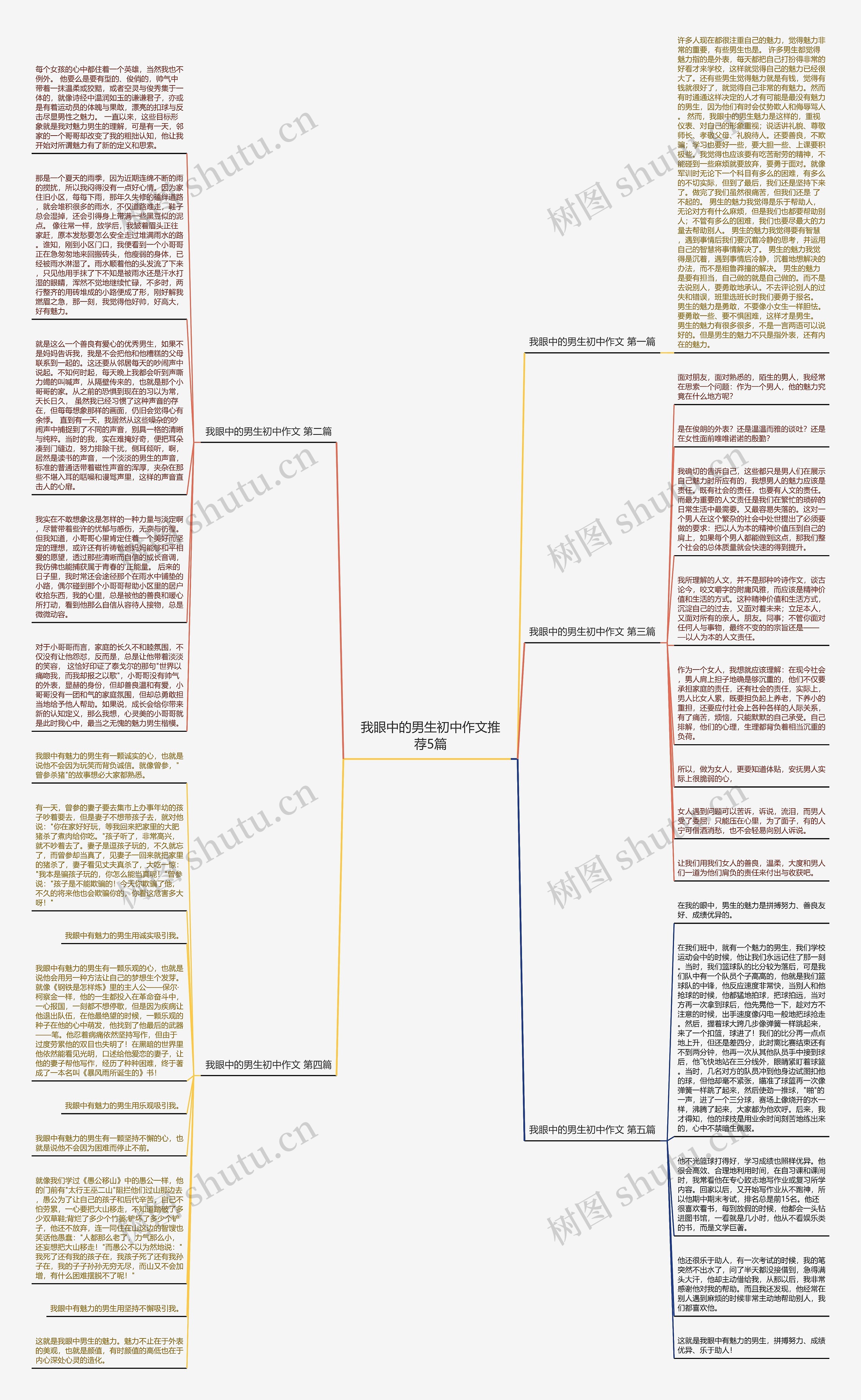 我眼中的男生初中作文推荐5篇思维导图