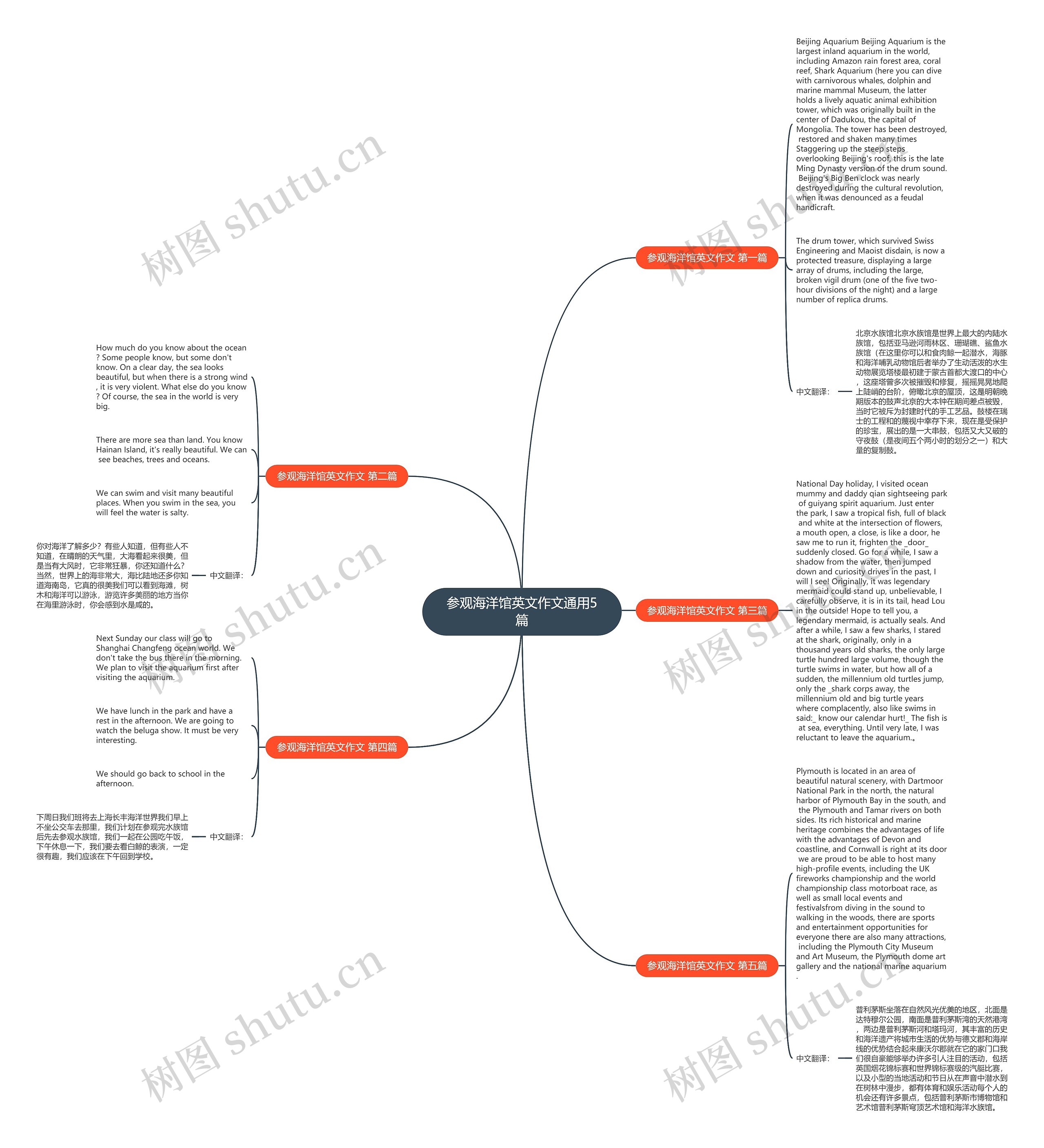 参观海洋馆英文作文通用5篇思维导图