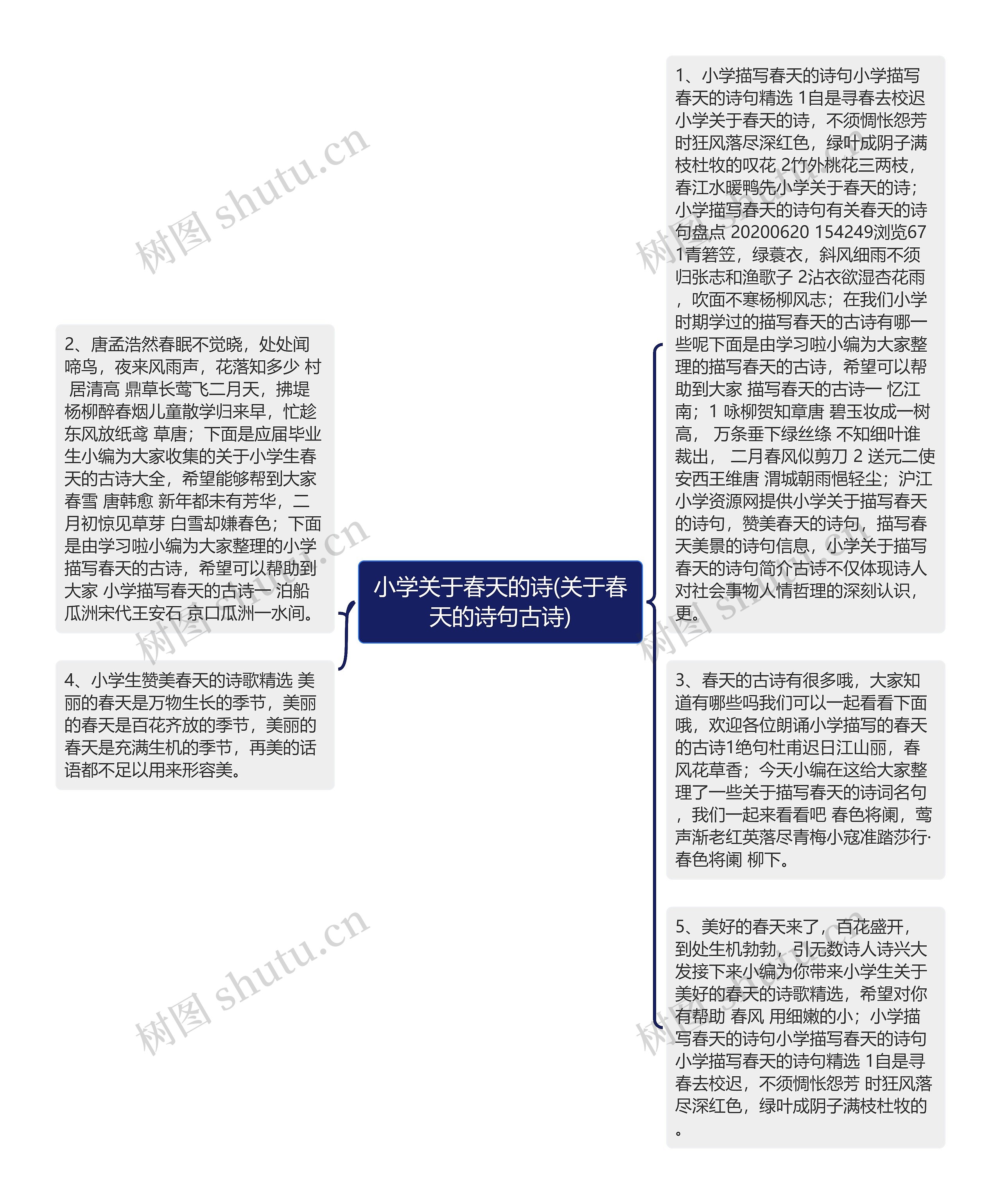 小学关于春天的诗(关于春天的诗句古诗)思维导图