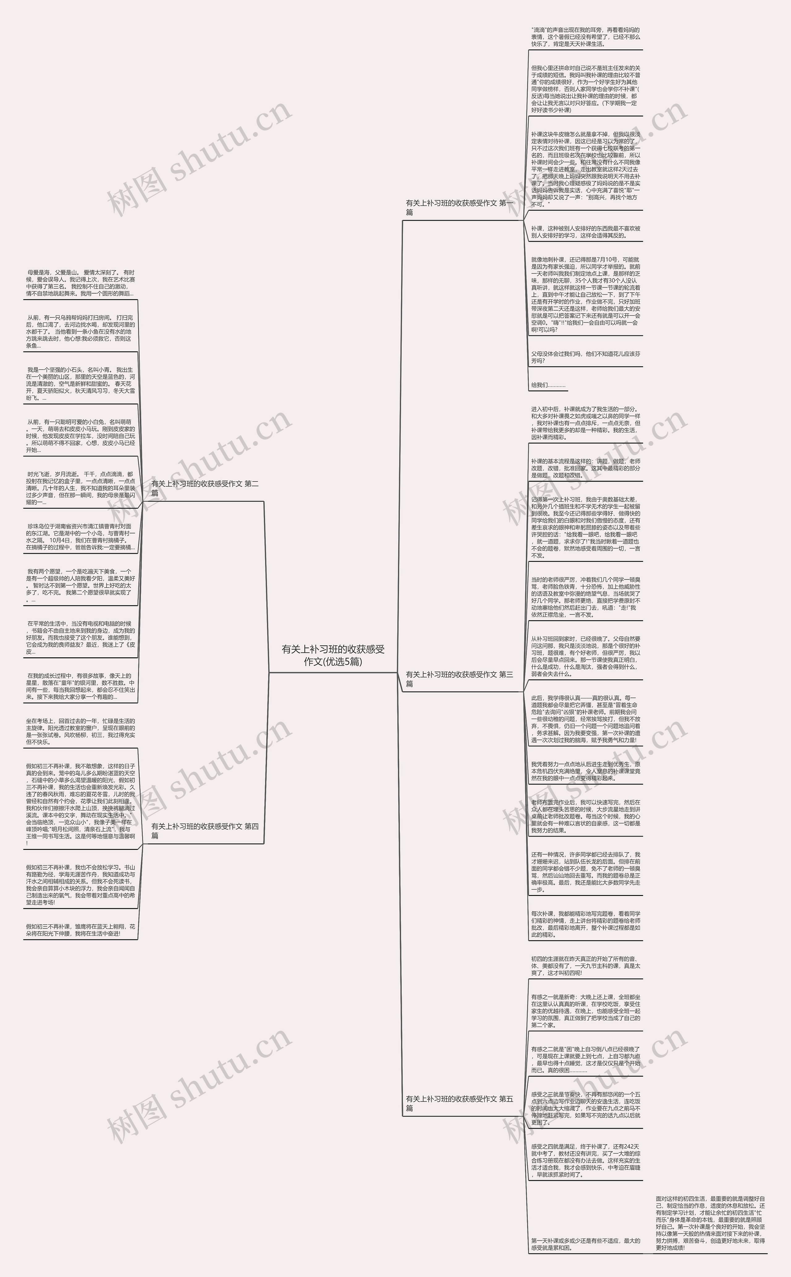 有关上补习班的收获感受作文(优选5篇)思维导图