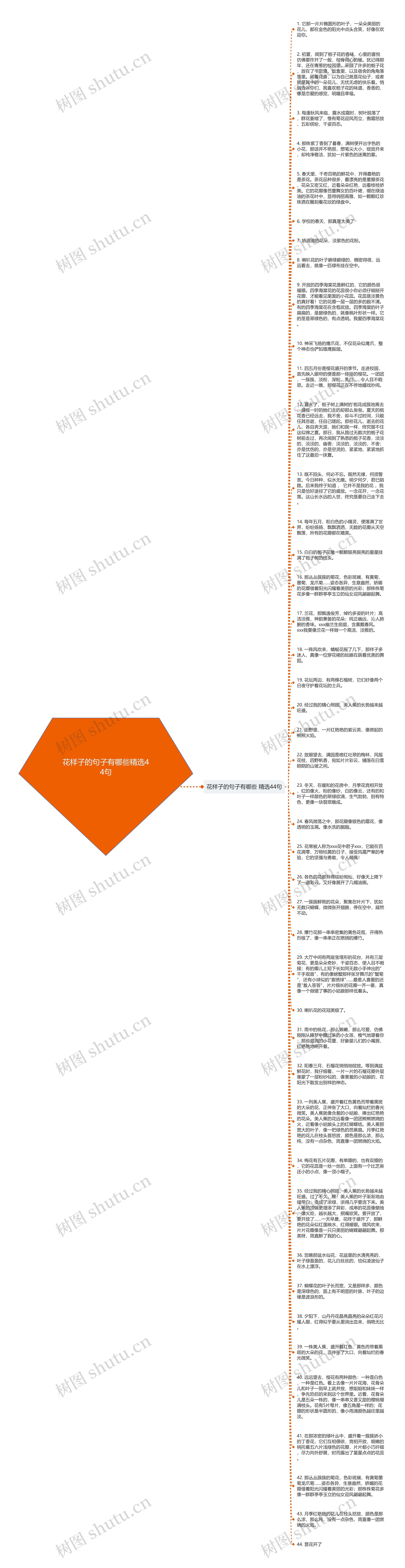 花样子的句子有哪些精选44句思维导图