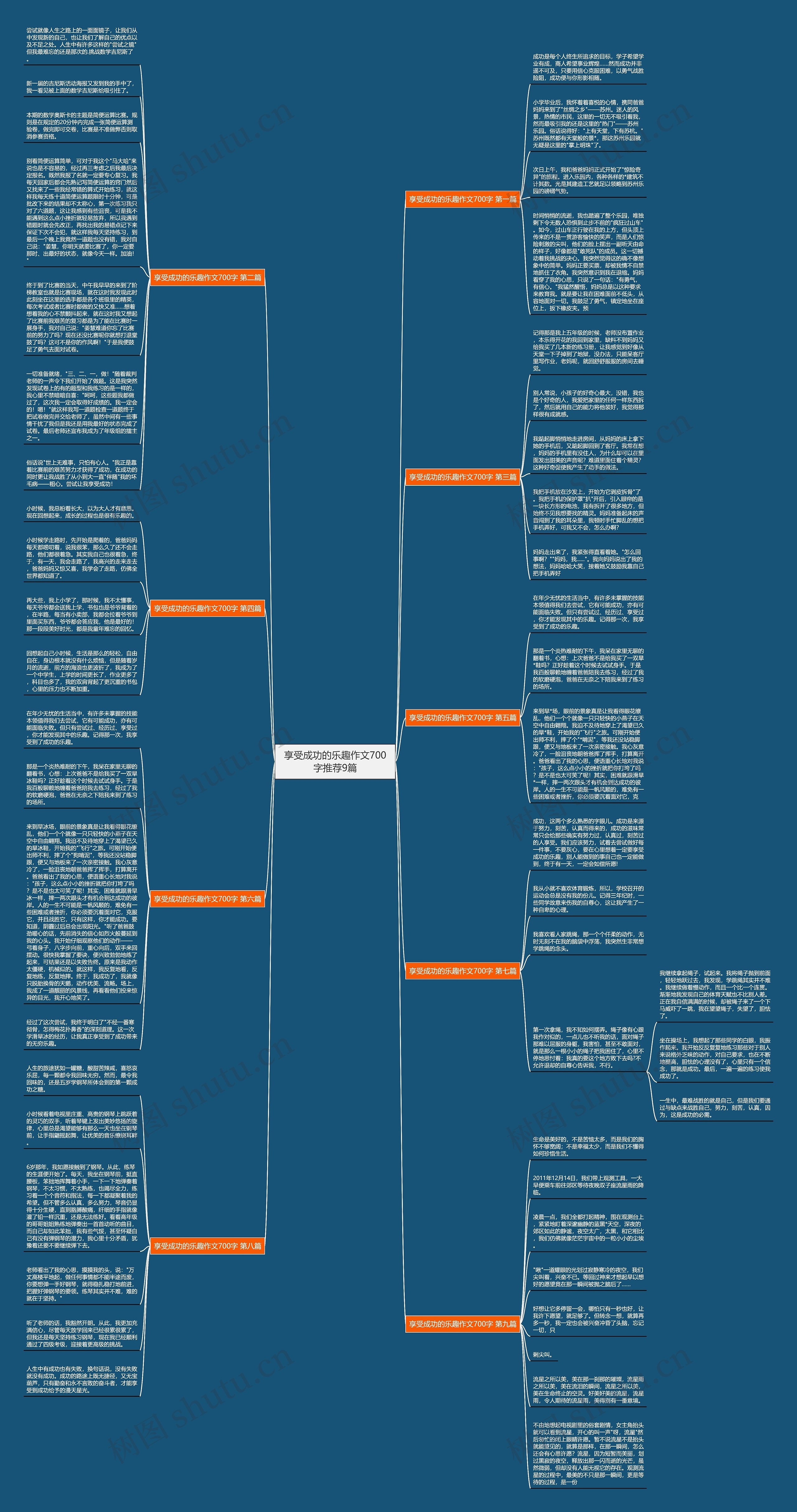享受成功的乐趣作文700字推荐9篇思维导图
