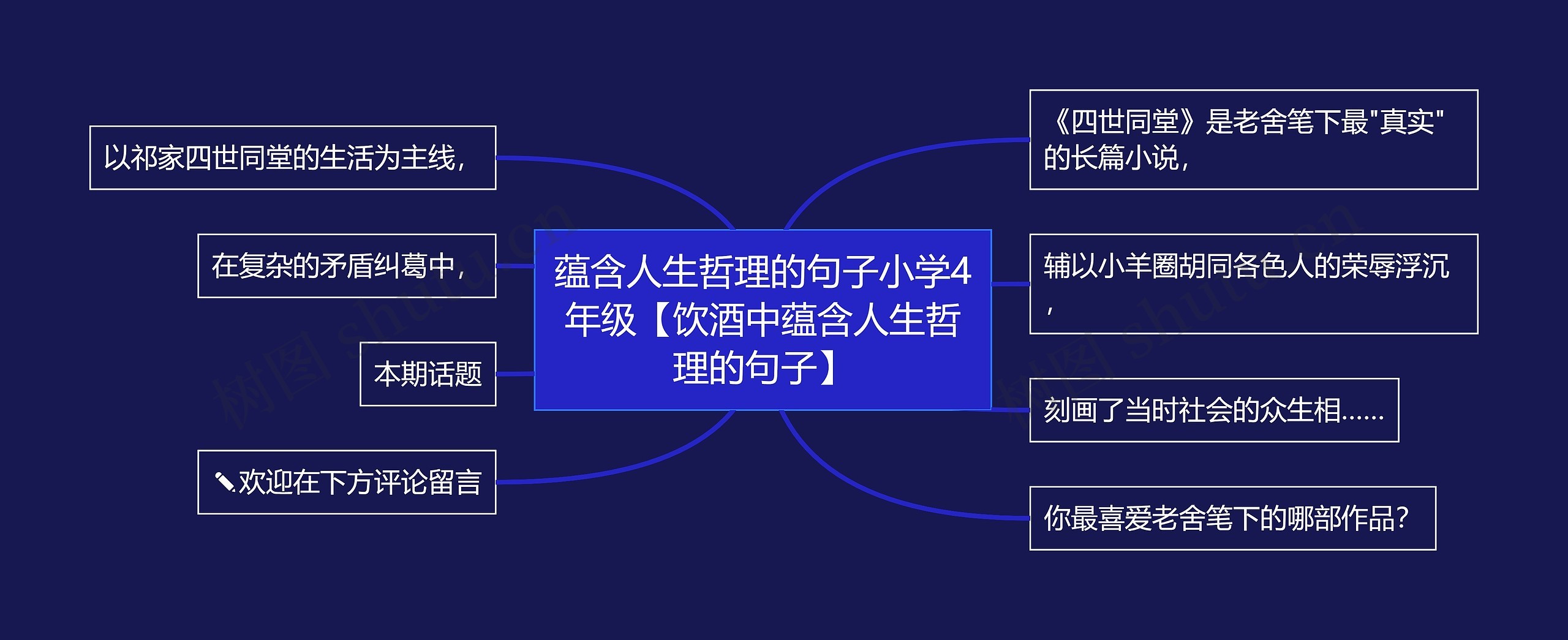 蕴含人生哲理的句子小学4年级【饮酒中蕴含人生哲理的句子】思维导图