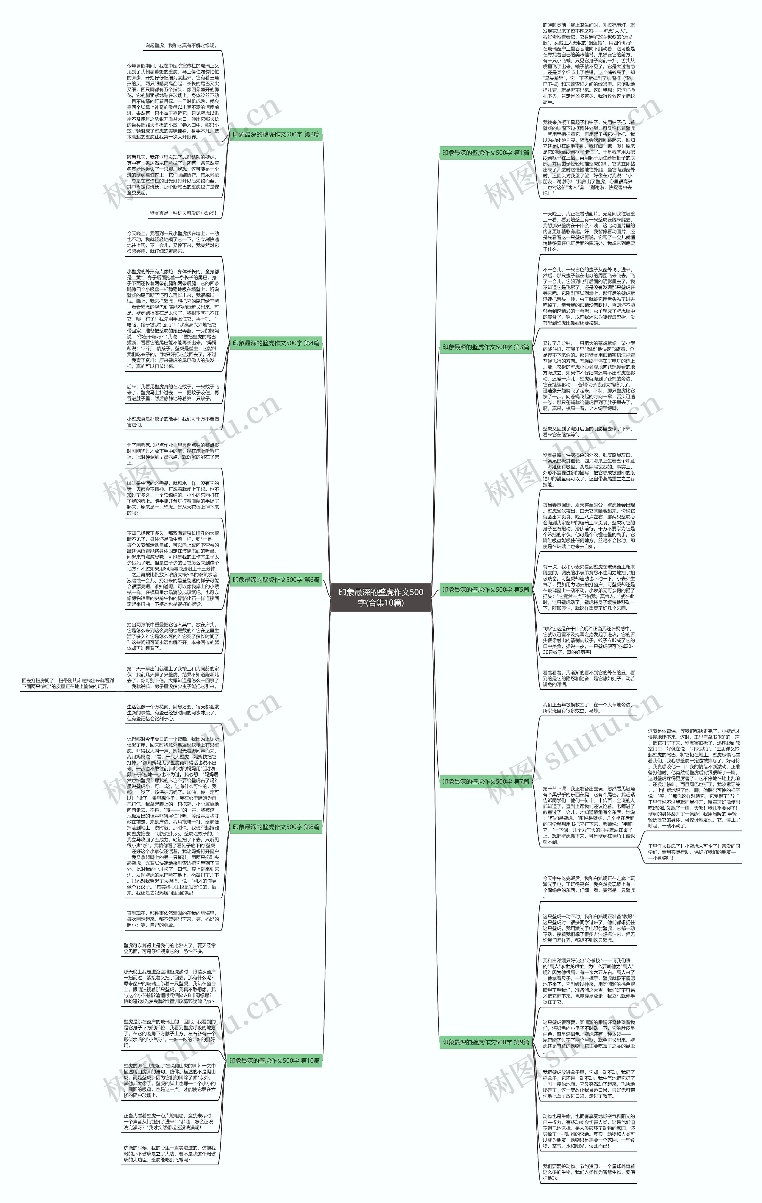 印象最深的壁虎作文500字(合集10篇)思维导图