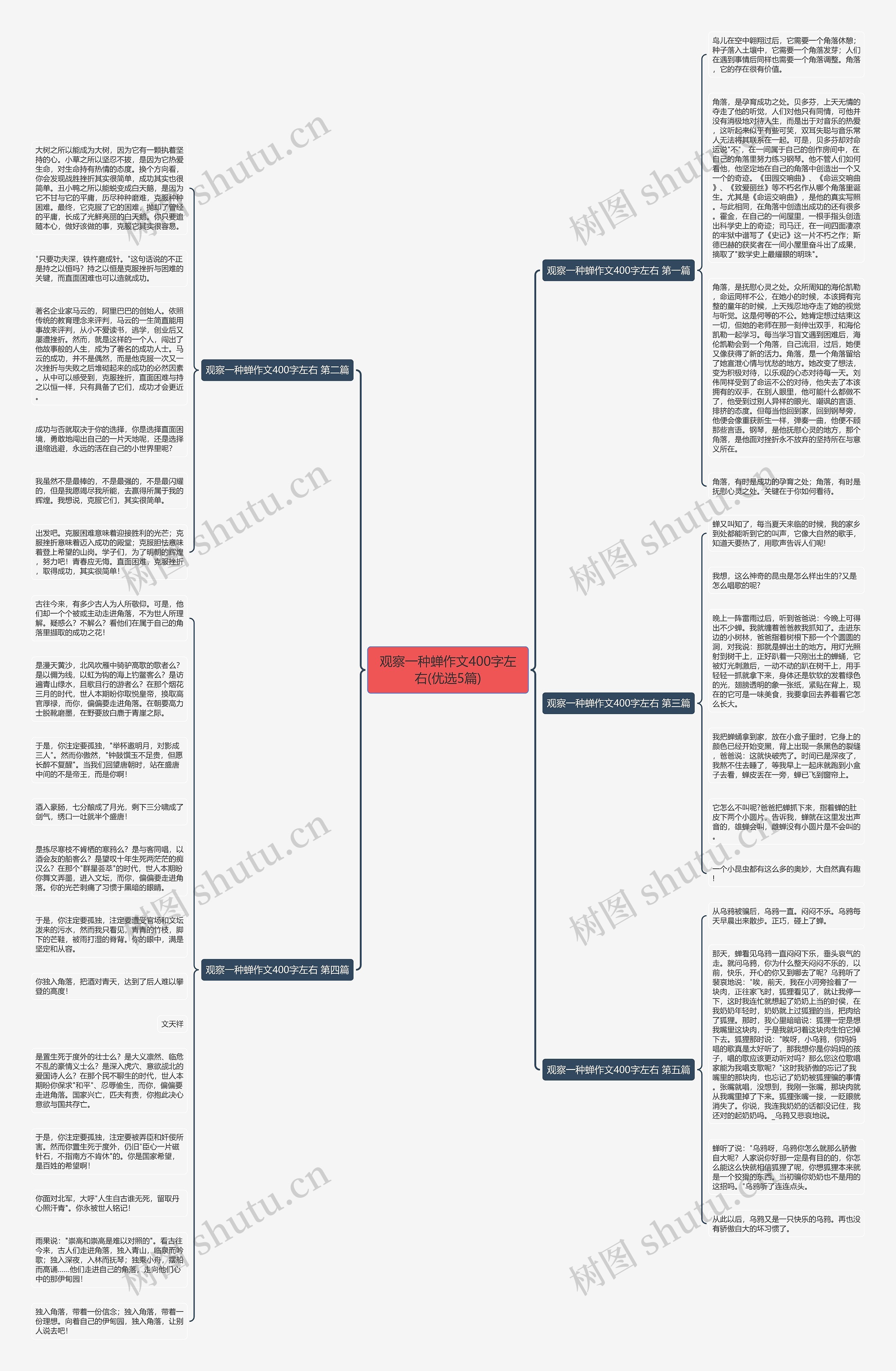 观察一种蝉作文400字左右(优选5篇)思维导图