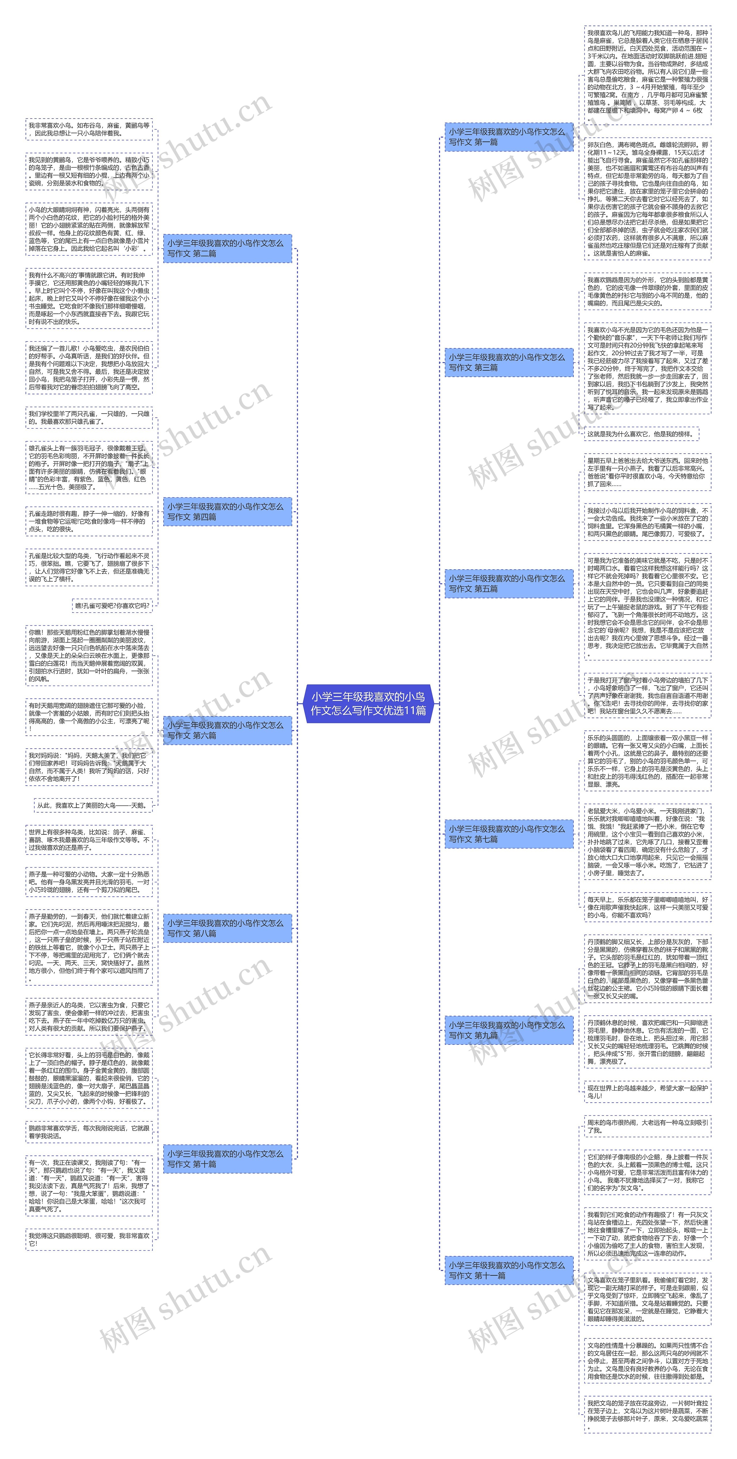 小学三年级我喜欢的小鸟作文怎么写作文优选11篇 小学三年级我喜欢的小鸟作文怎么写作文优选11篇