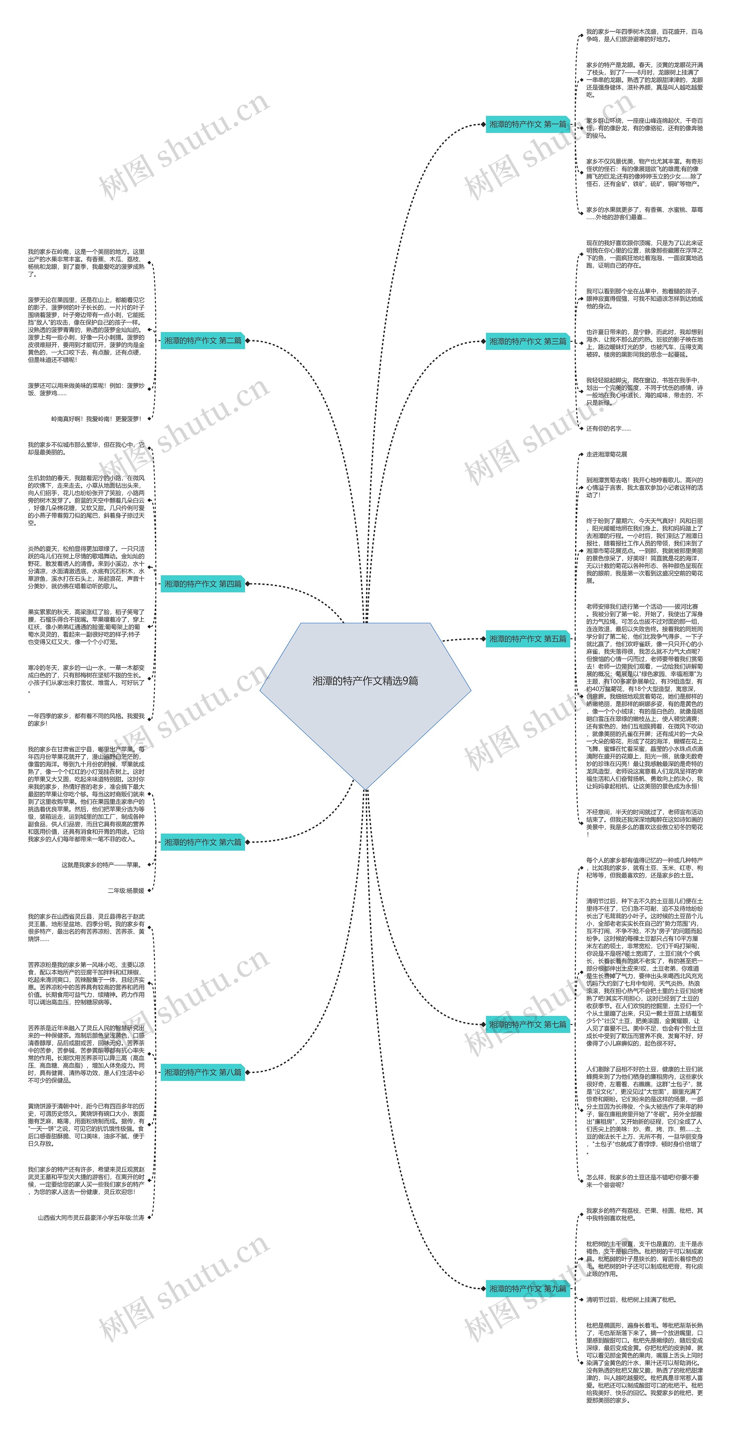 湘潭的特产作文精选9篇思维导图