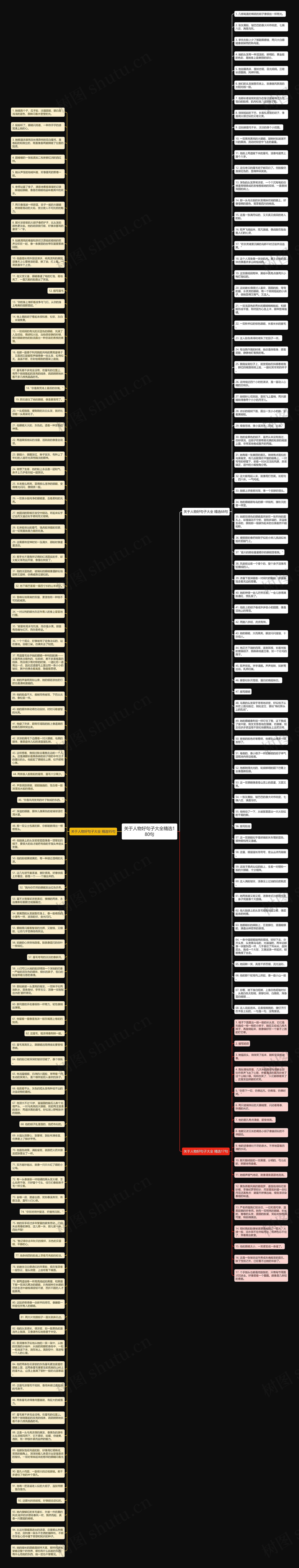 关于人物好句子大全精选180句思维导图