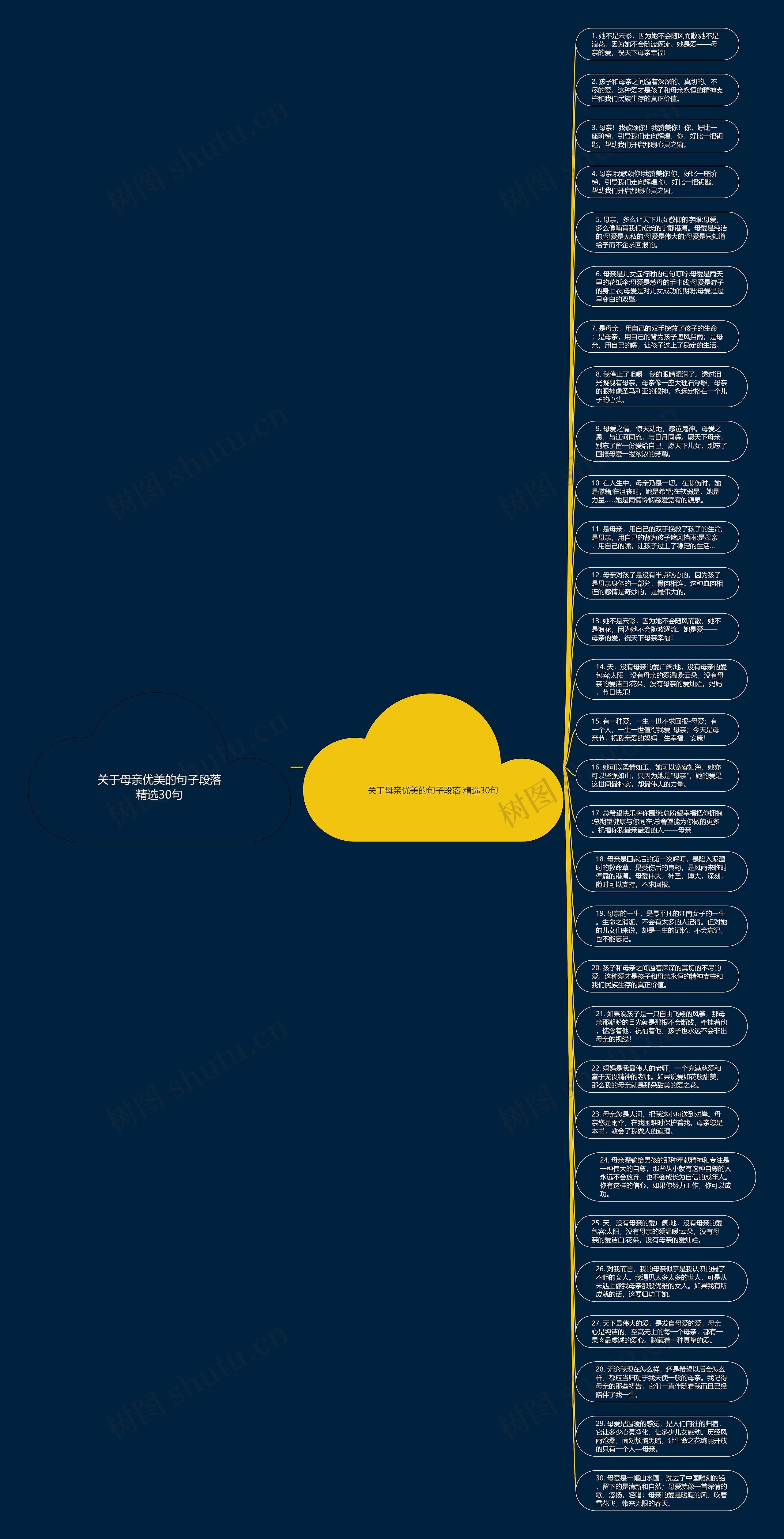关于母亲优美的句子段落精选30句思维导图