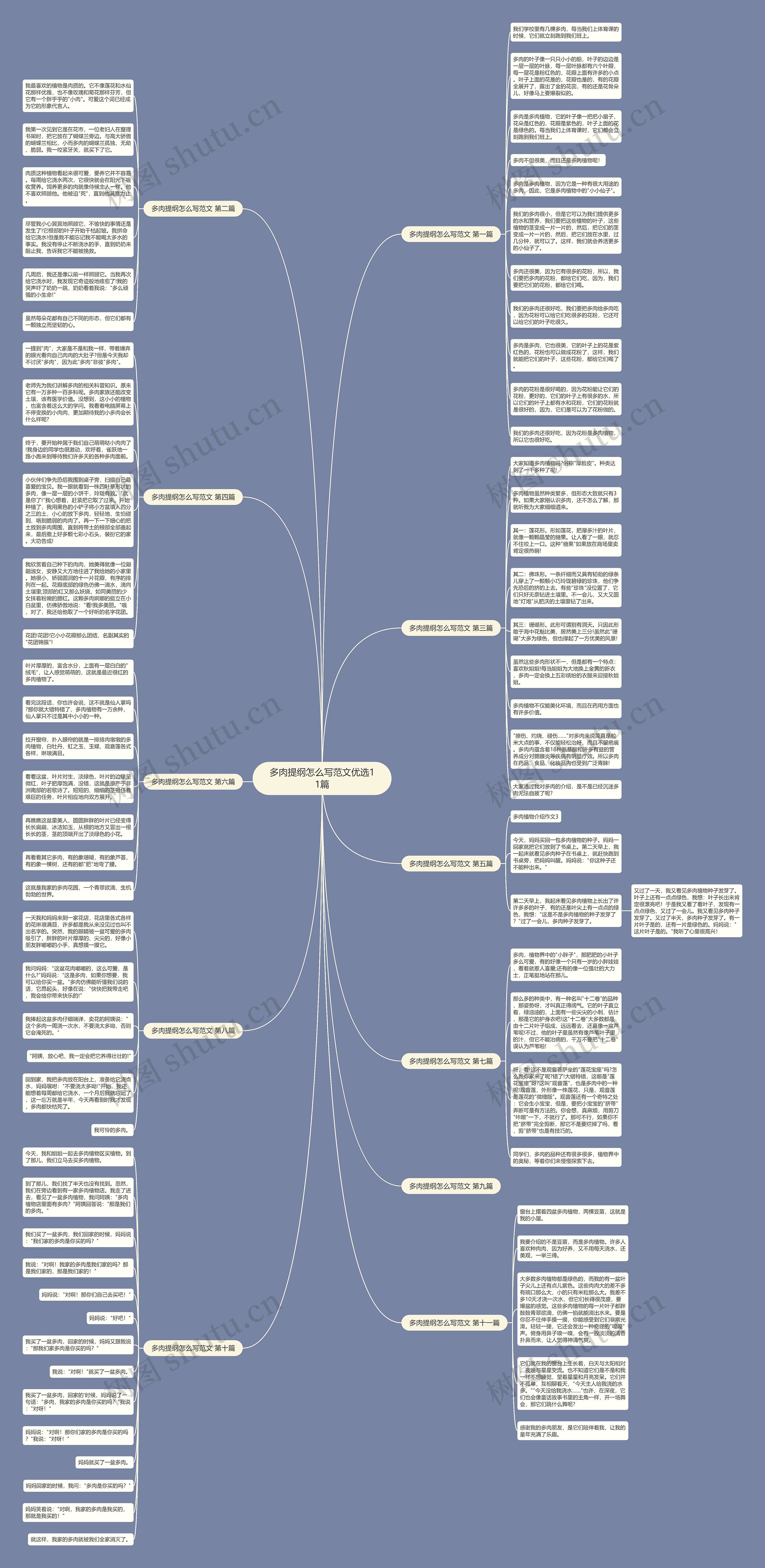 多肉提纲怎么写范文优选11篇思维导图