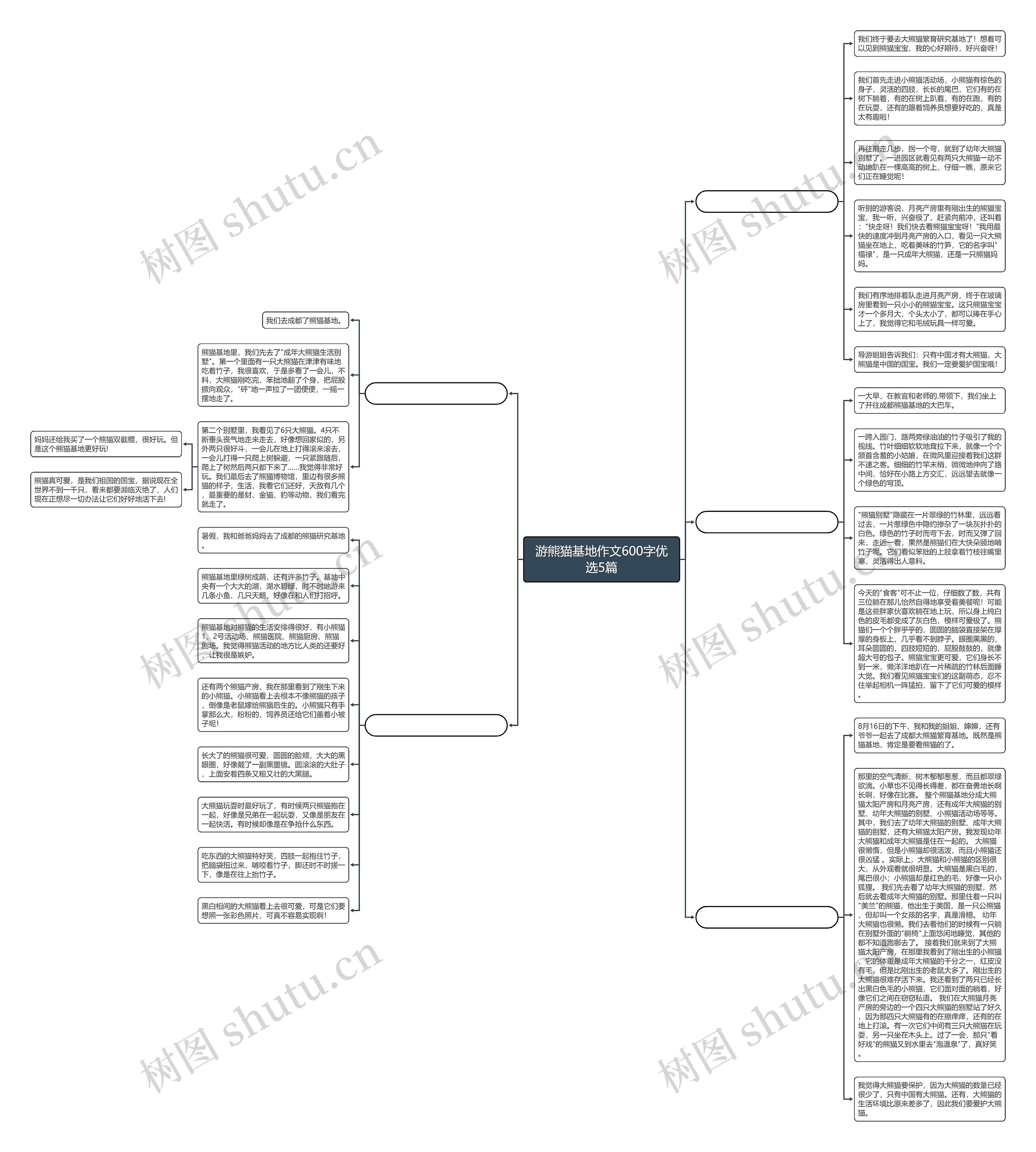 游熊猫基地作文600字优选5篇思维导图