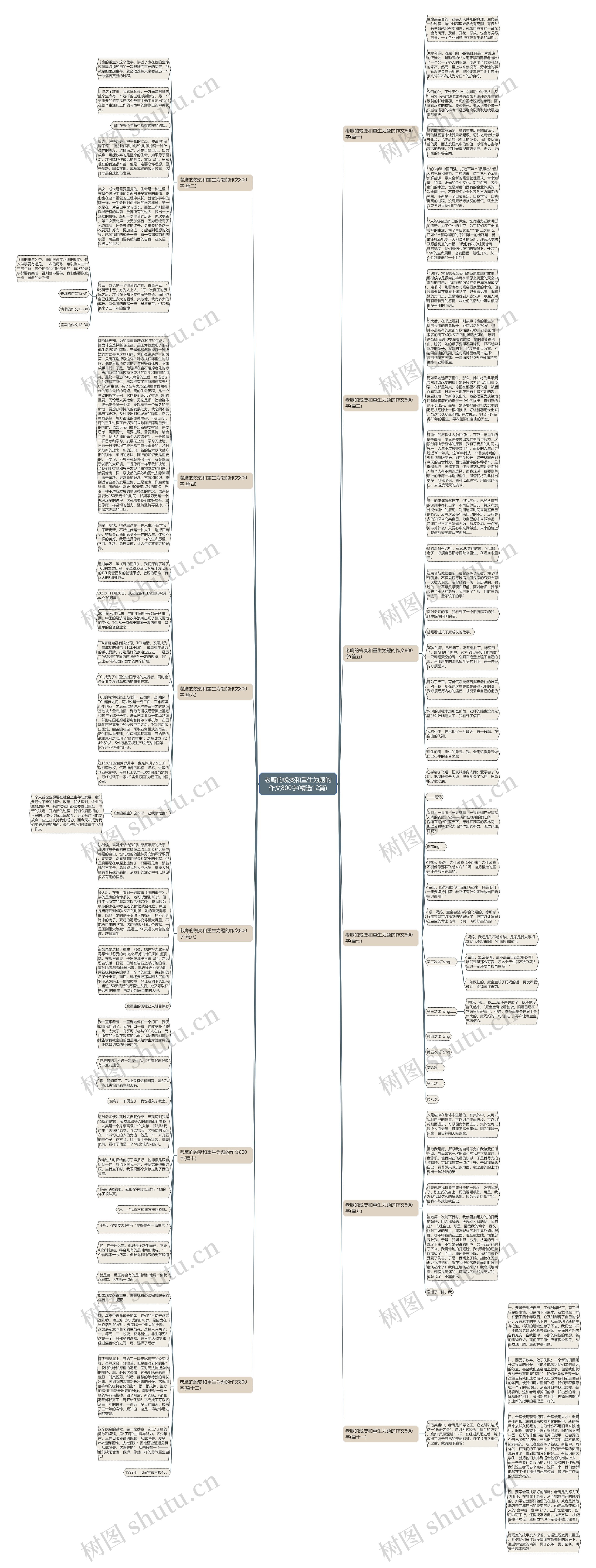 老鹰的蜕变和重生为题的作文800字(精选12篇)思维导图