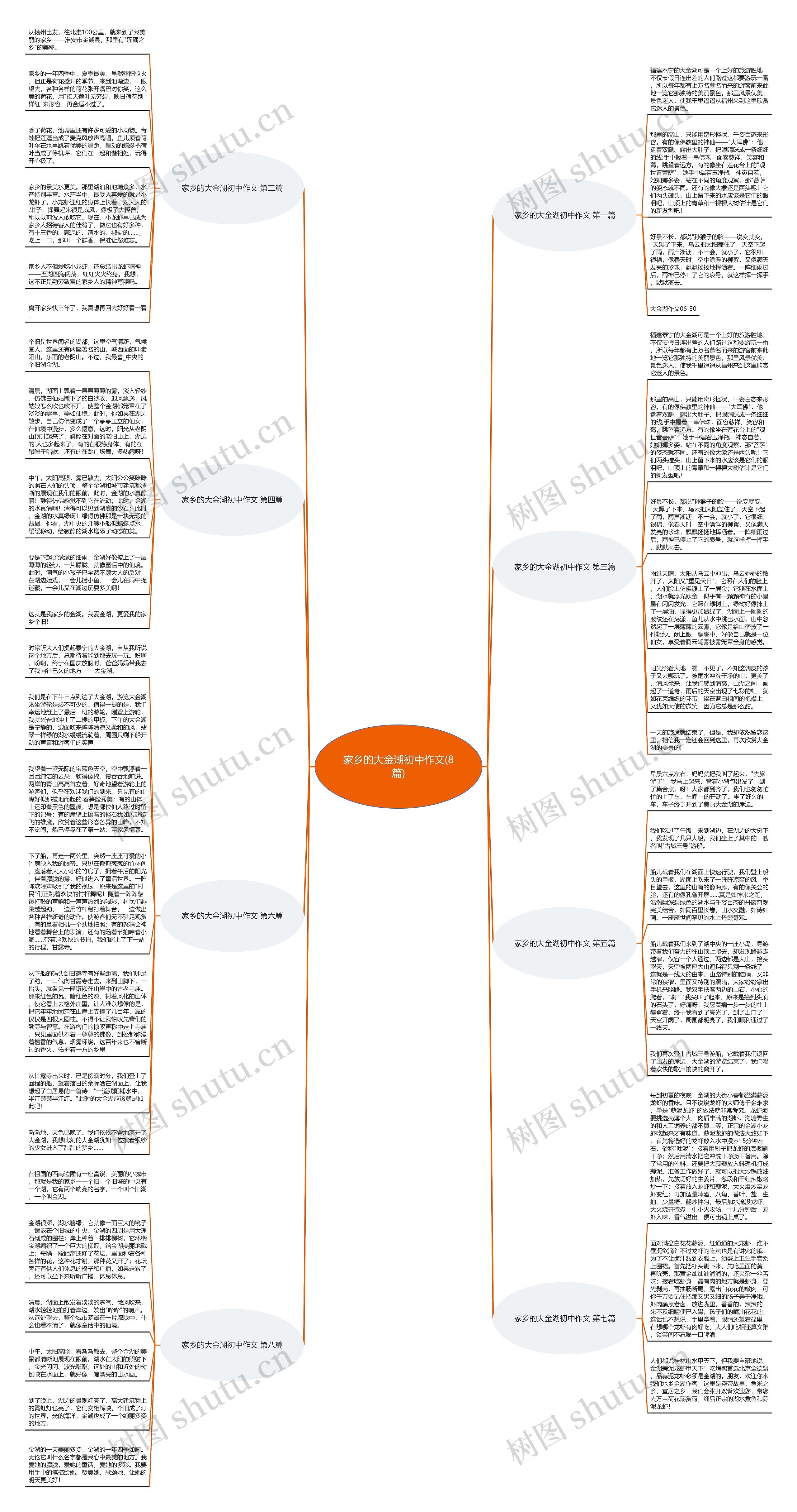 家乡的大金湖初中作文(8篇)思维导图