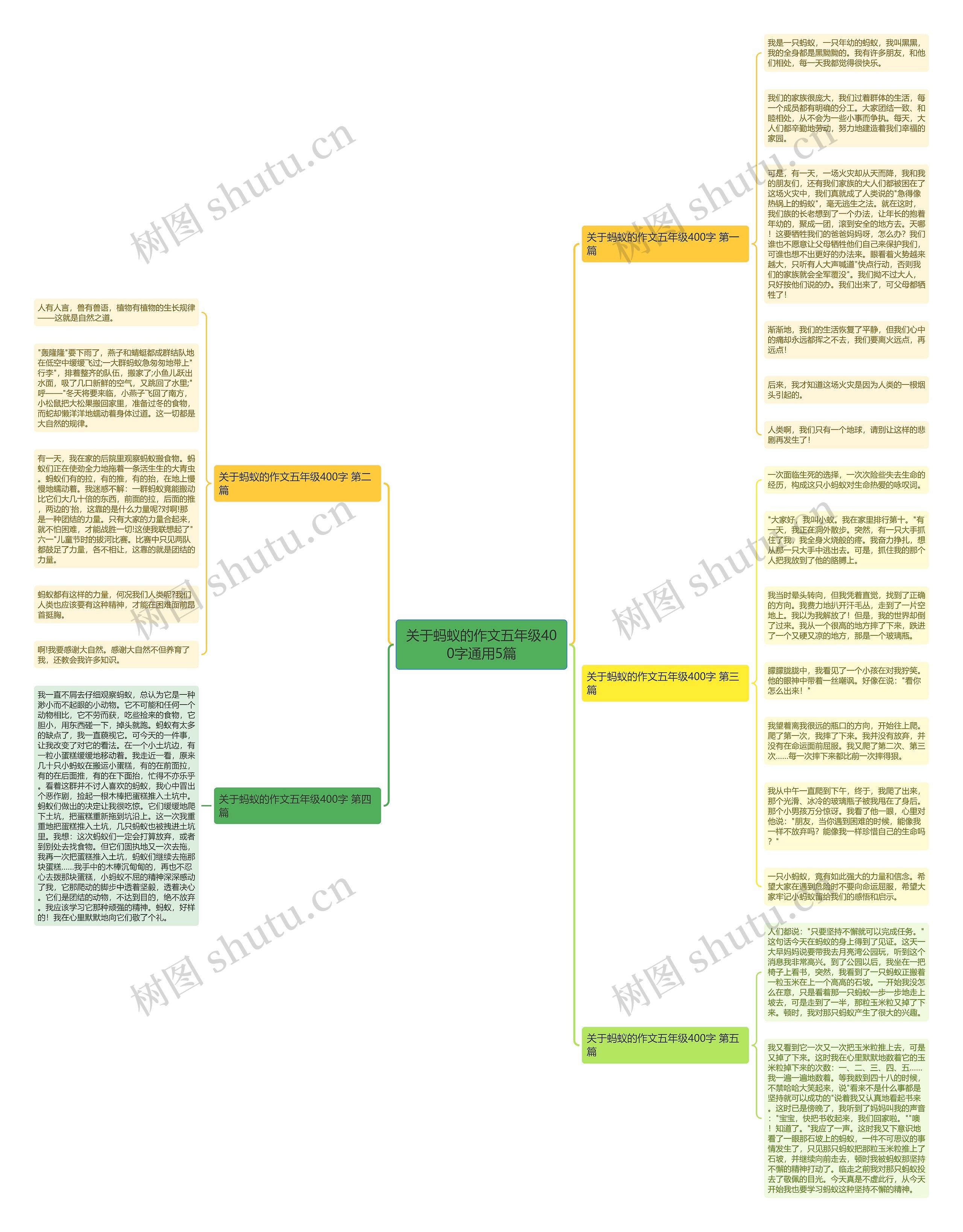 关于蚂蚁的作文五年级400字通用5篇思维导图