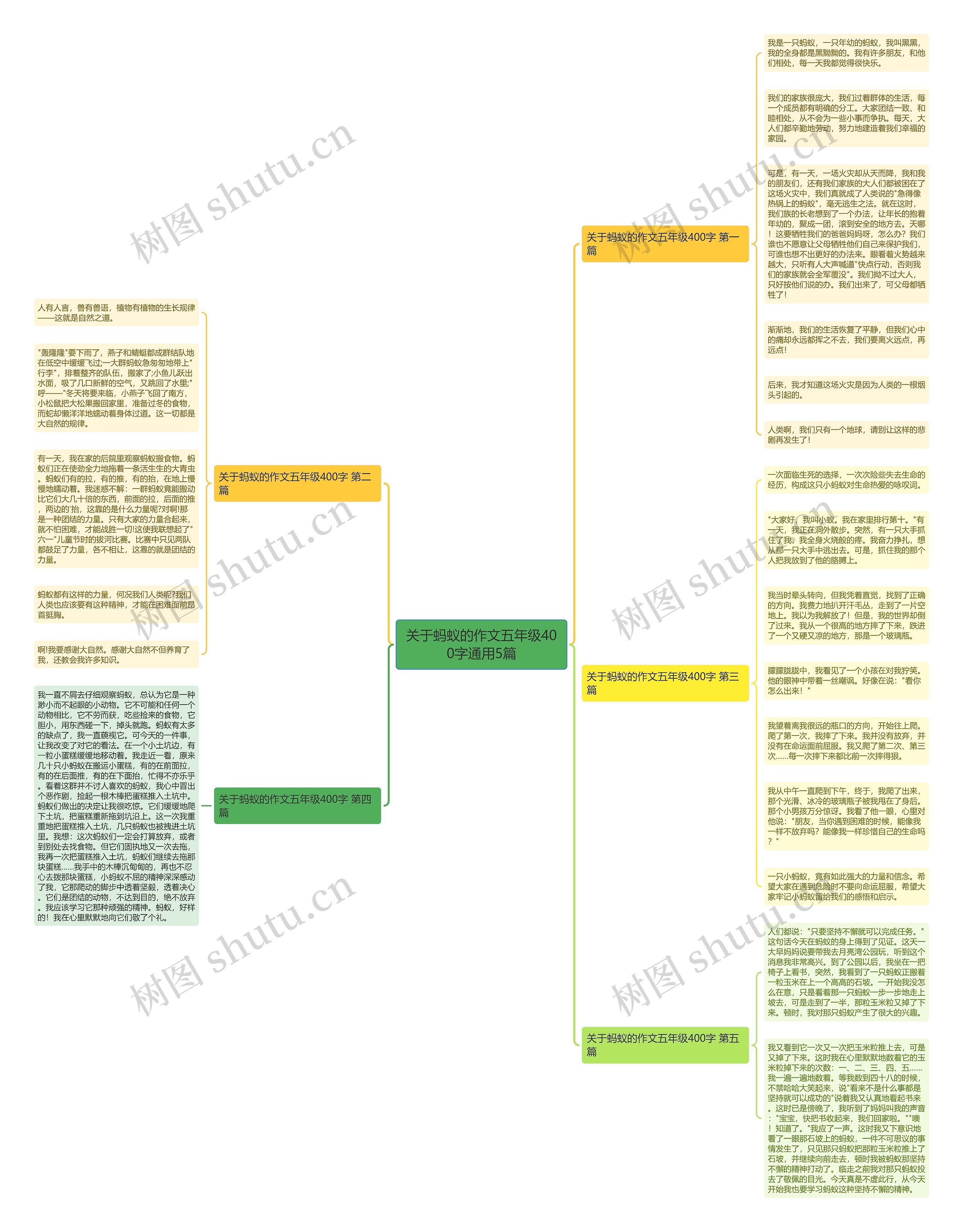 关于蚂蚁的作文五年级400字通用5篇 关于蚂蚁的作文五年级400字通用5篇