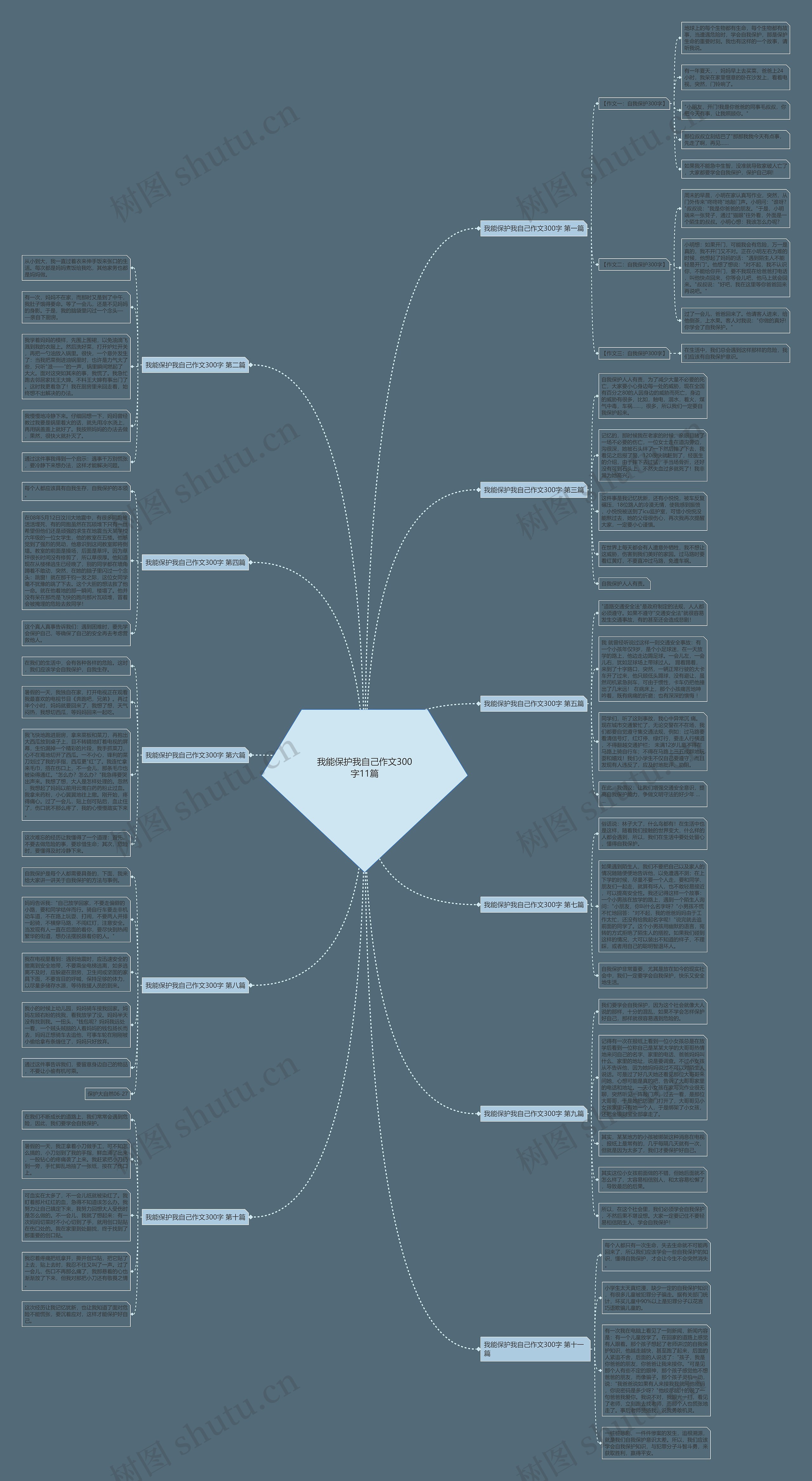 我能保护我自己作文300字11篇思维导图