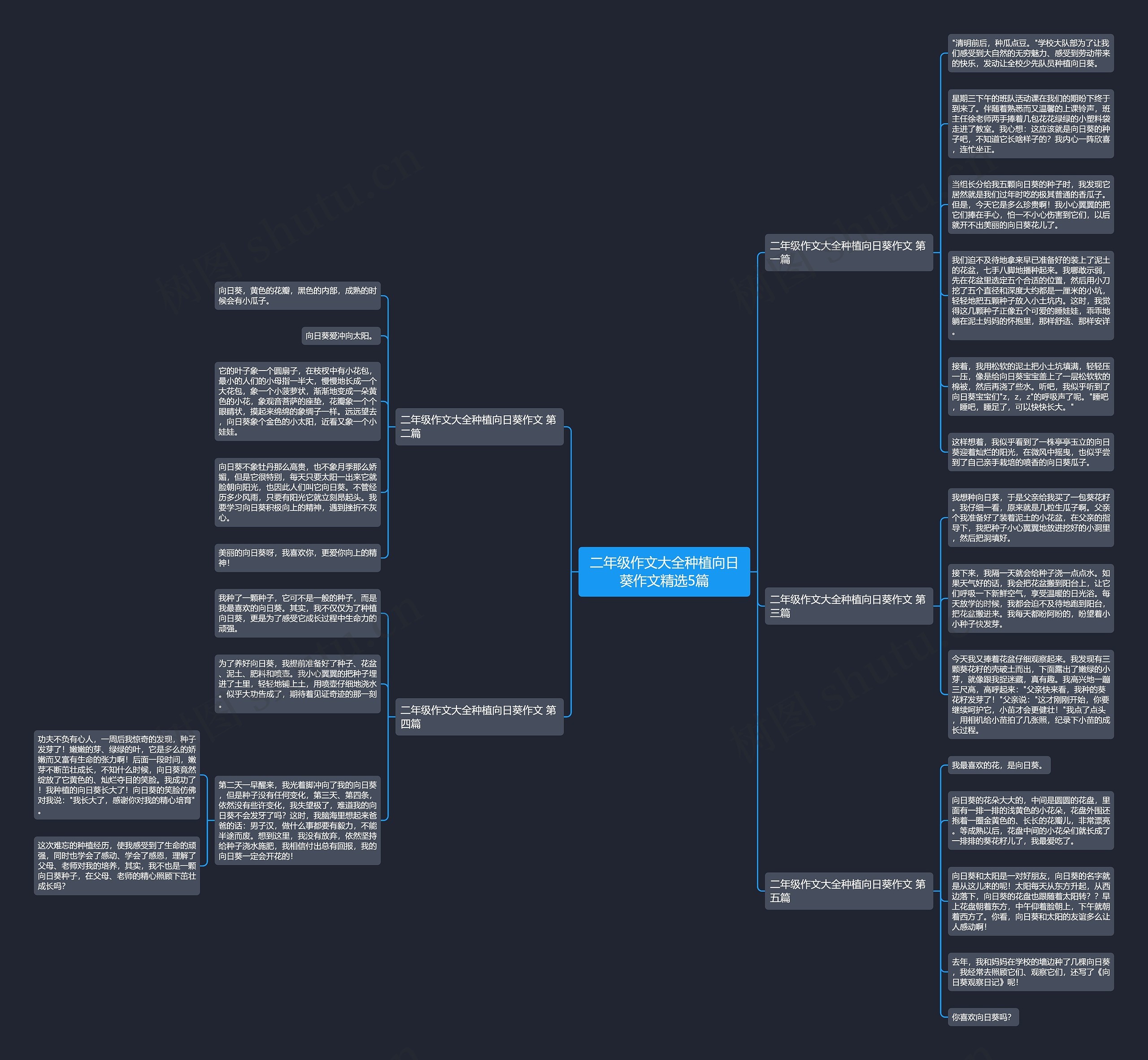 二年级作文大全种植向日葵作文精选5篇 二年级作文大全种植向日葵作文精选5篇