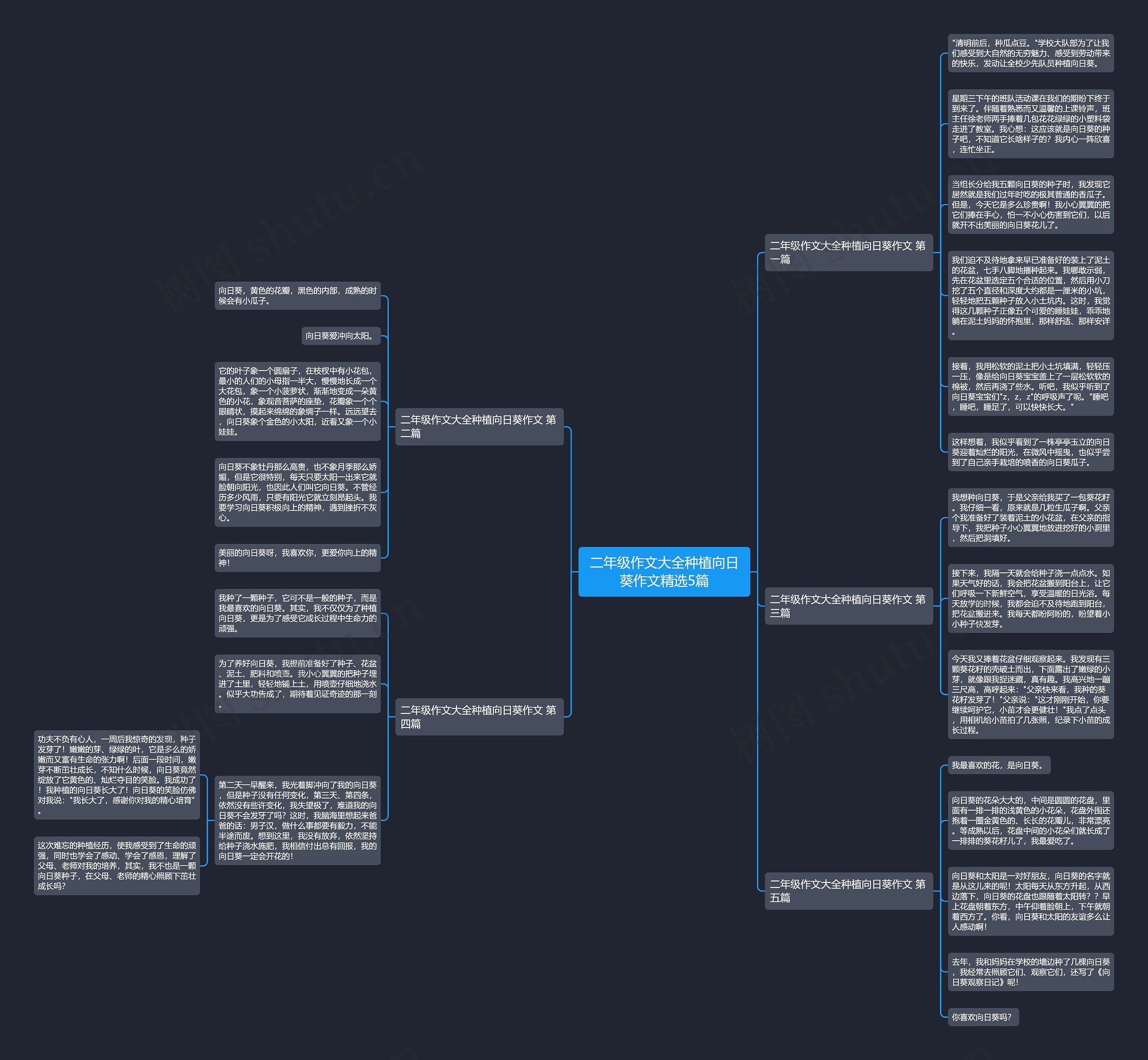 二年级作文大全种植向日葵作文精选5篇思维导图