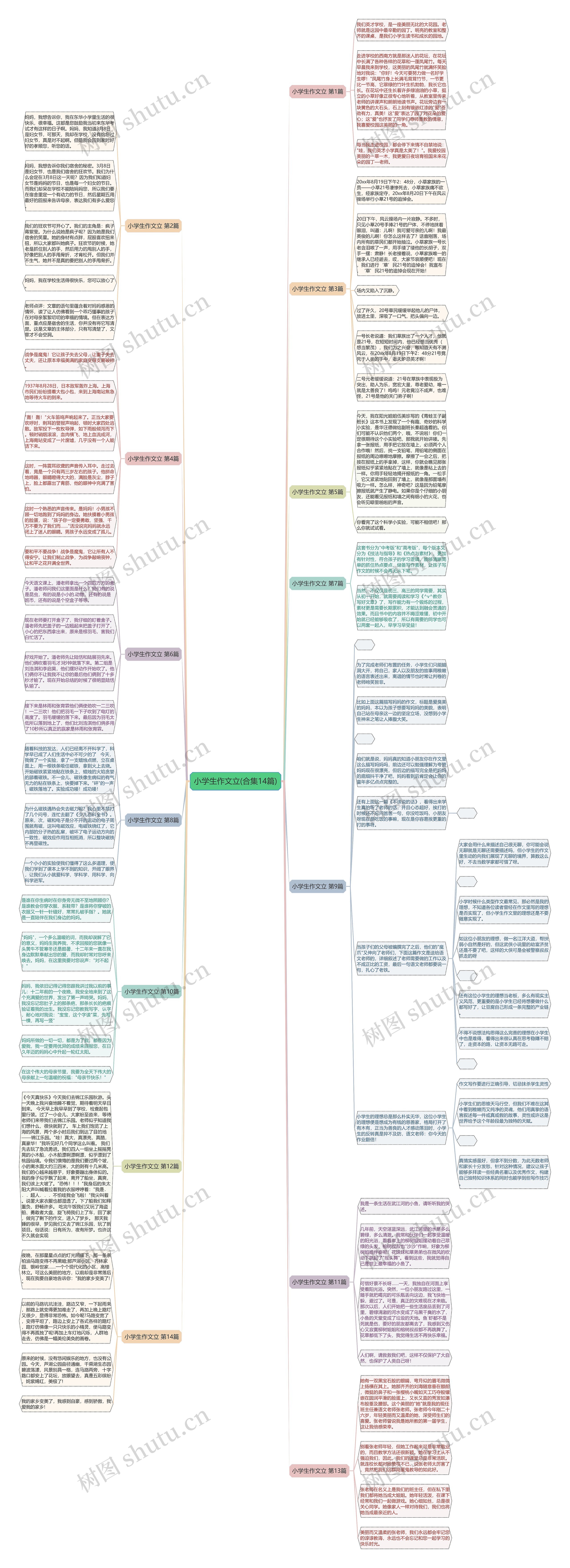 小学生作文立(合集14篇)思维导图
