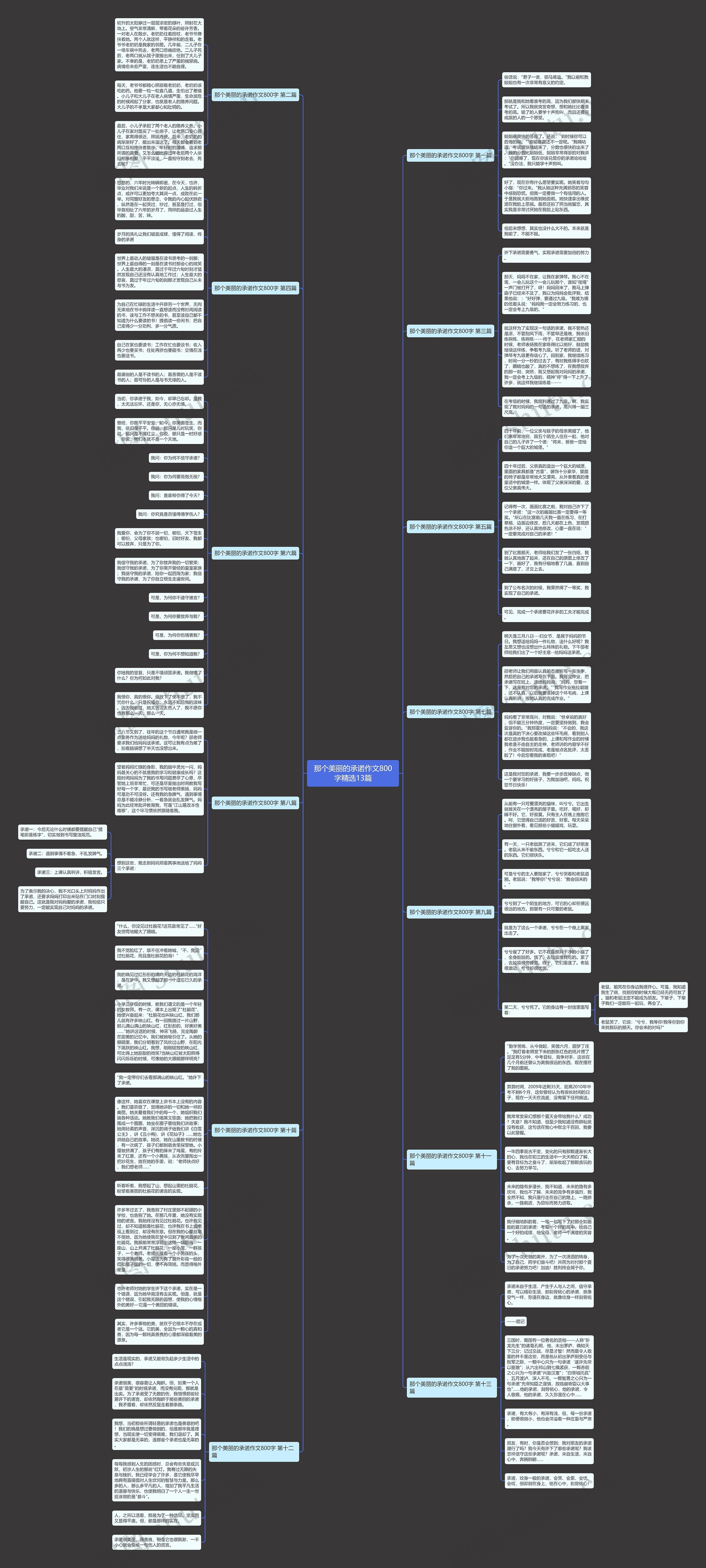 那个美丽的承诺作文800字精选13篇思维导图