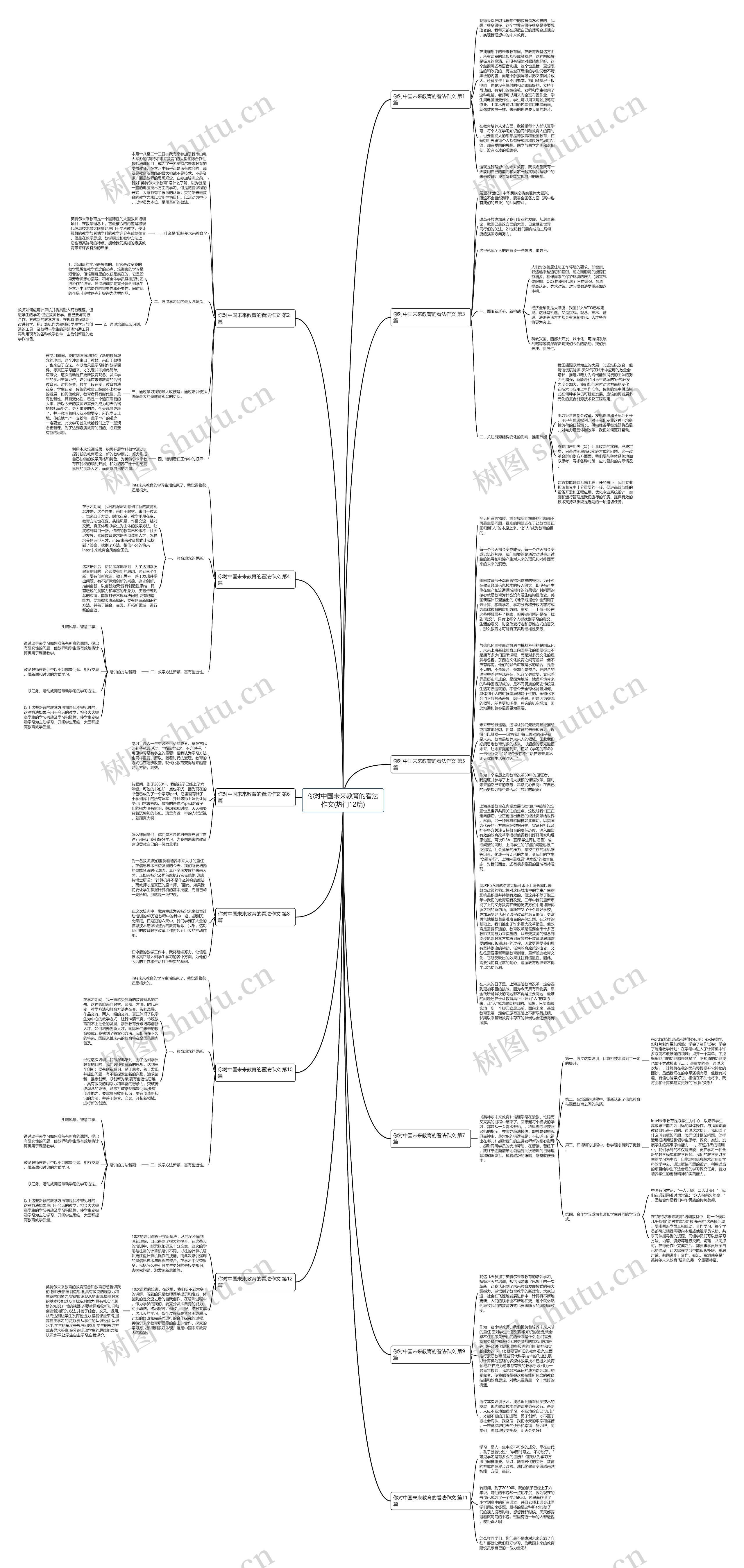 你对中国未来教育的看法作文(热门12篇)思维导图