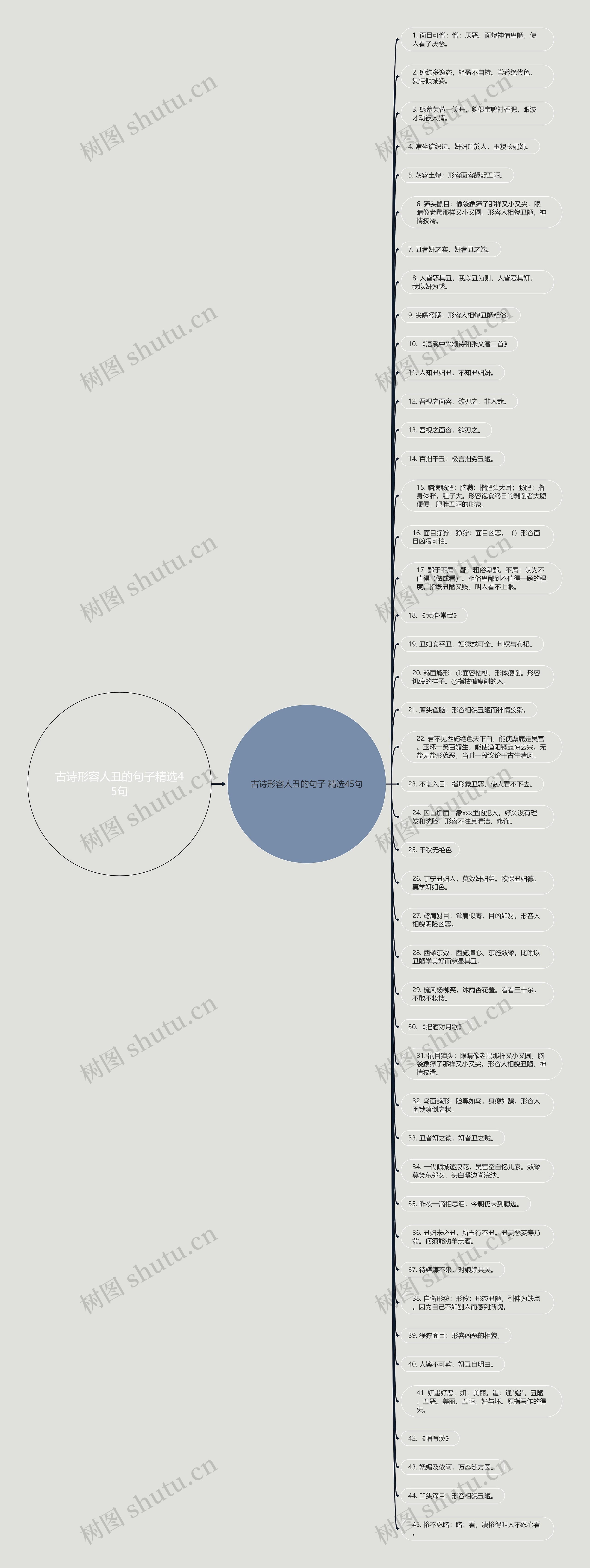 古诗形容人丑的句子精选45句思维导图
