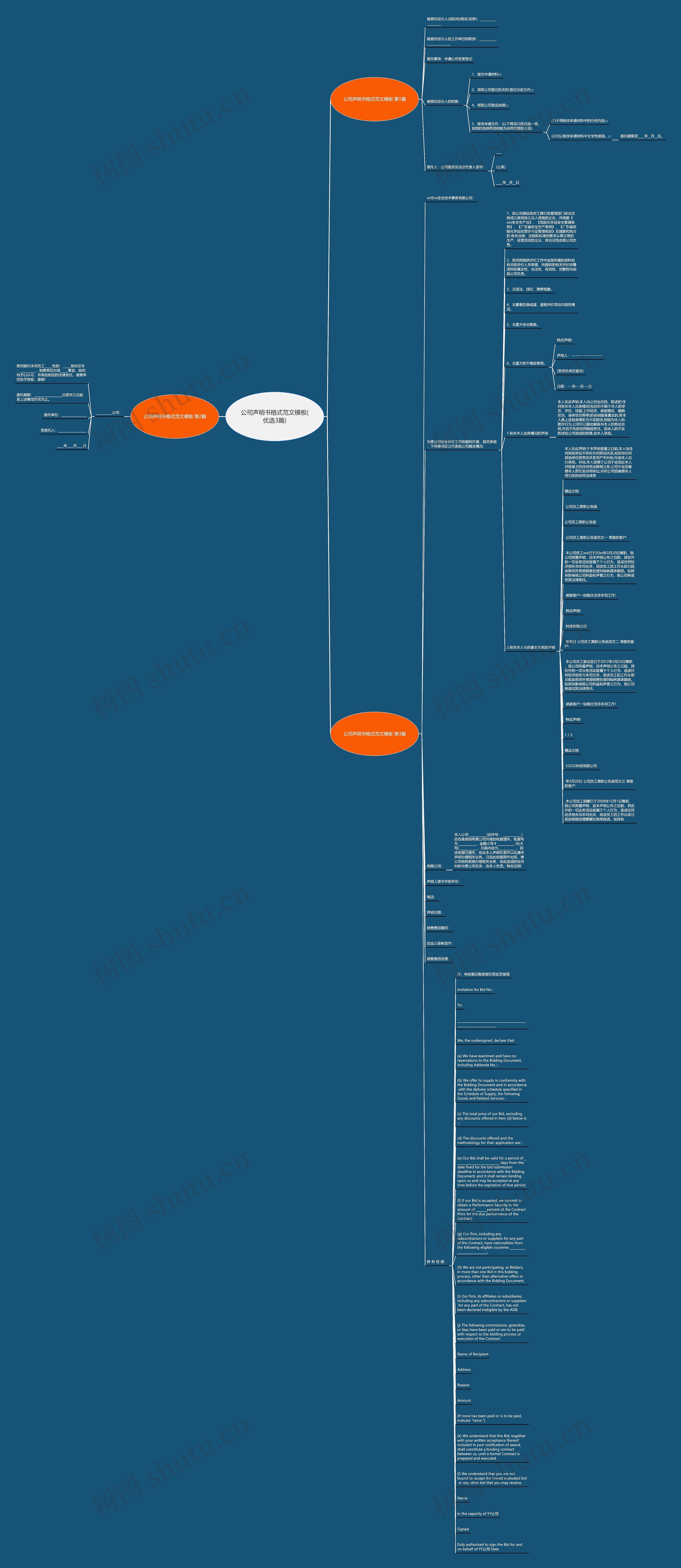 公司声明书格式范文(优选3篇)思维导图