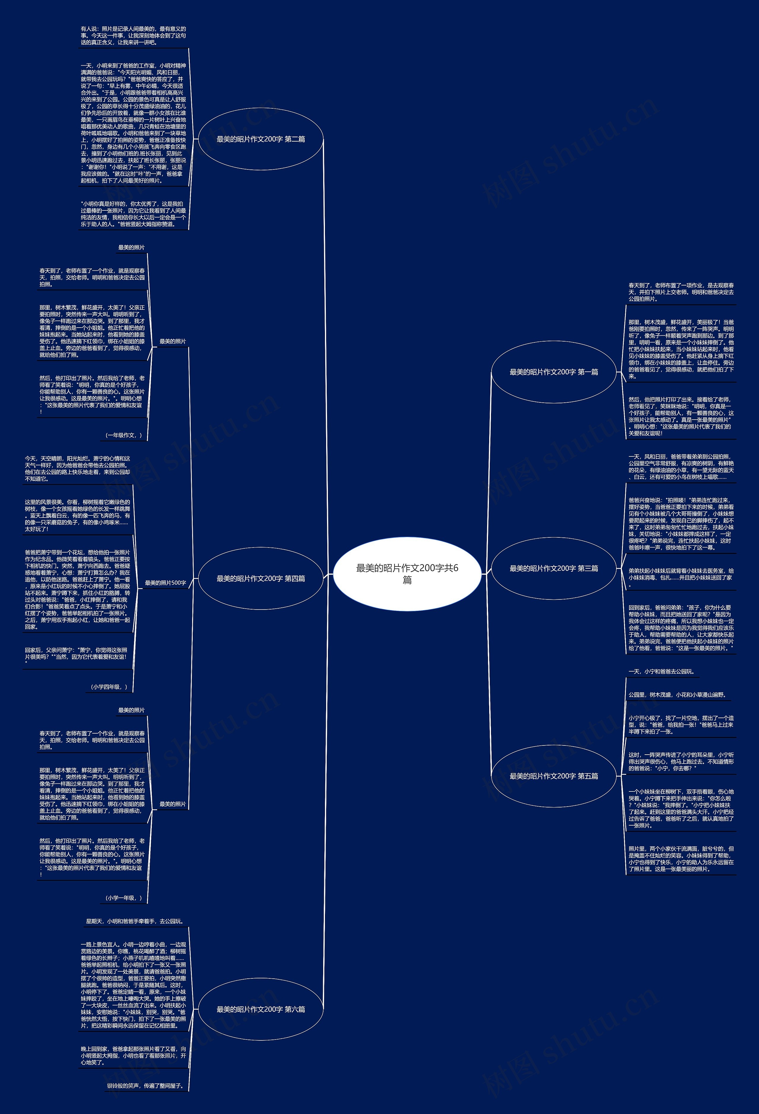 最美的昭片作文200字共6篇 最美的昭片作文200字共6篇