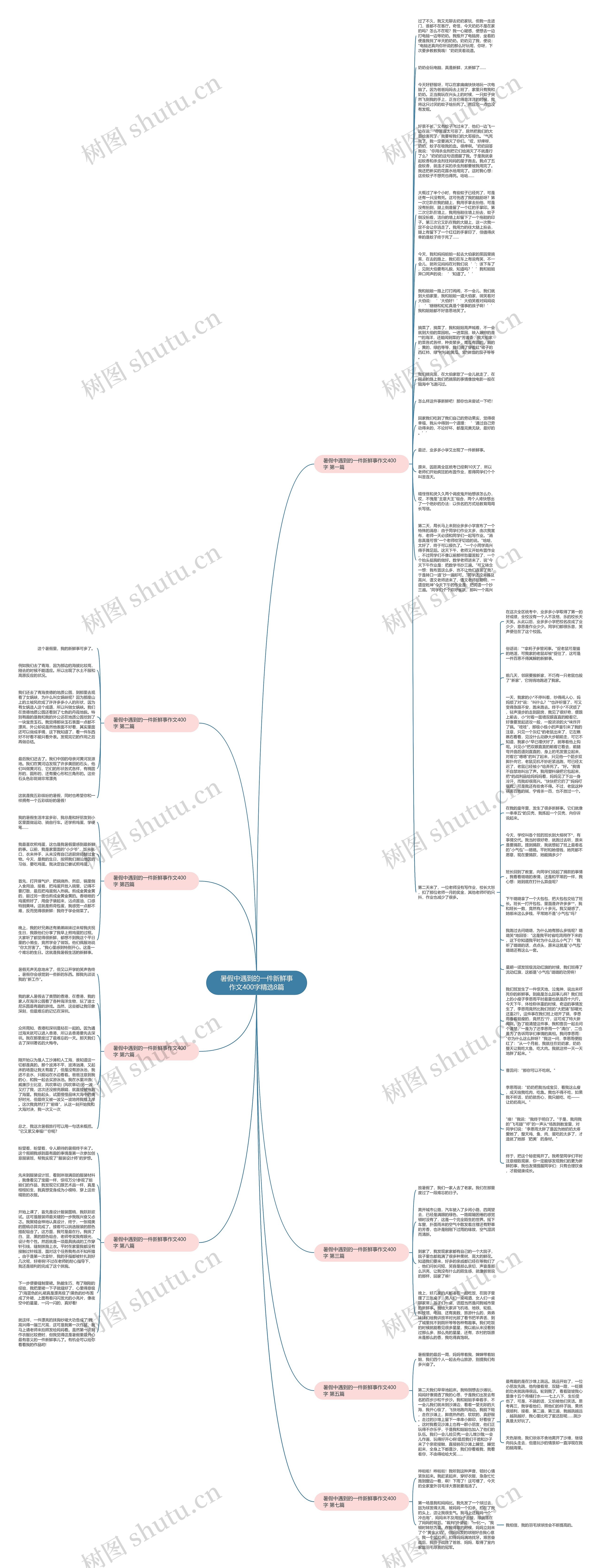 暑假中遇到的一件新鲜事作文400字精选8篇思维导图