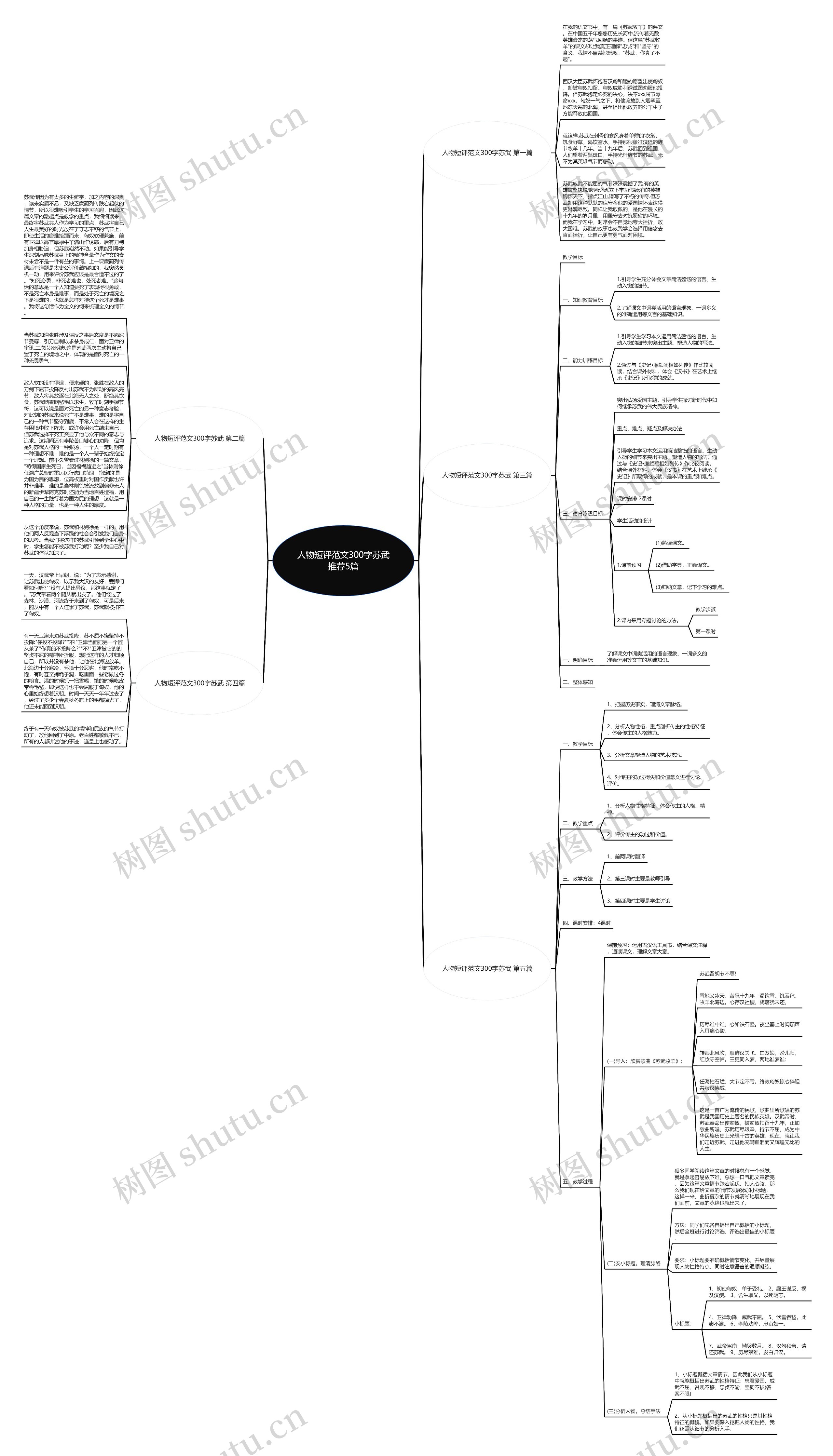 人物短评范文300字苏武推荐5篇思维导图