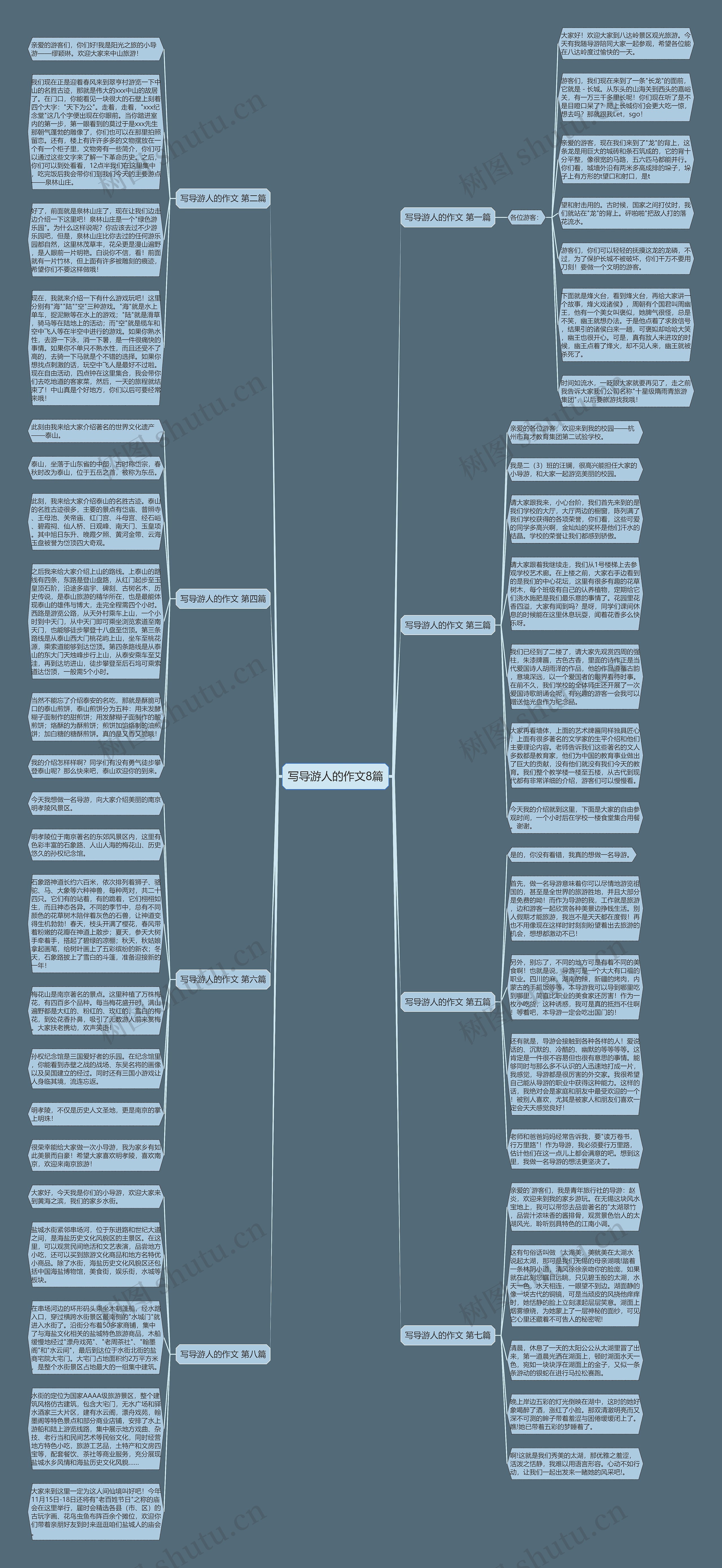 写导游人的作文8篇思维导图
