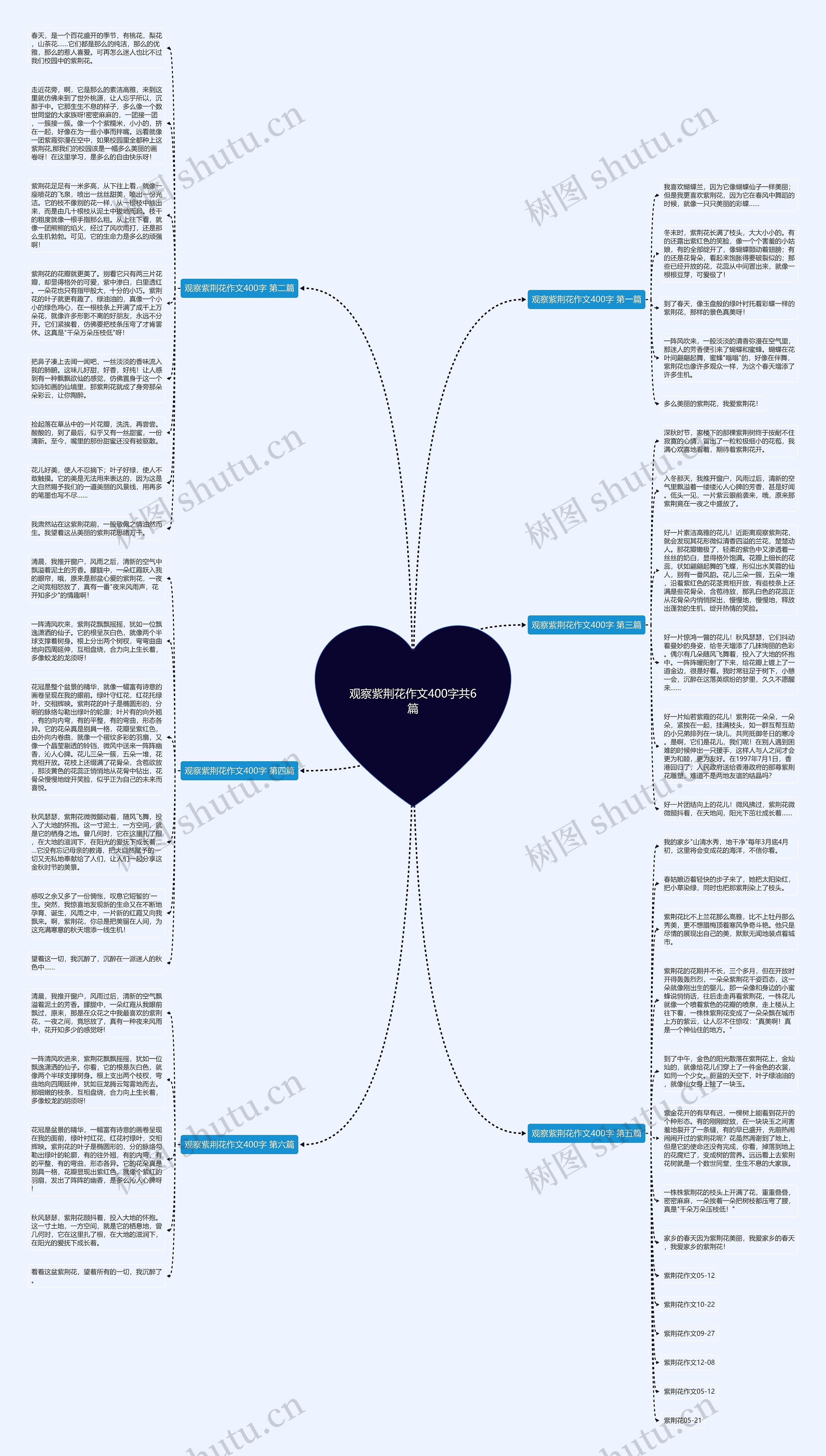 观察紫荆花作文400字共6篇思维导图
