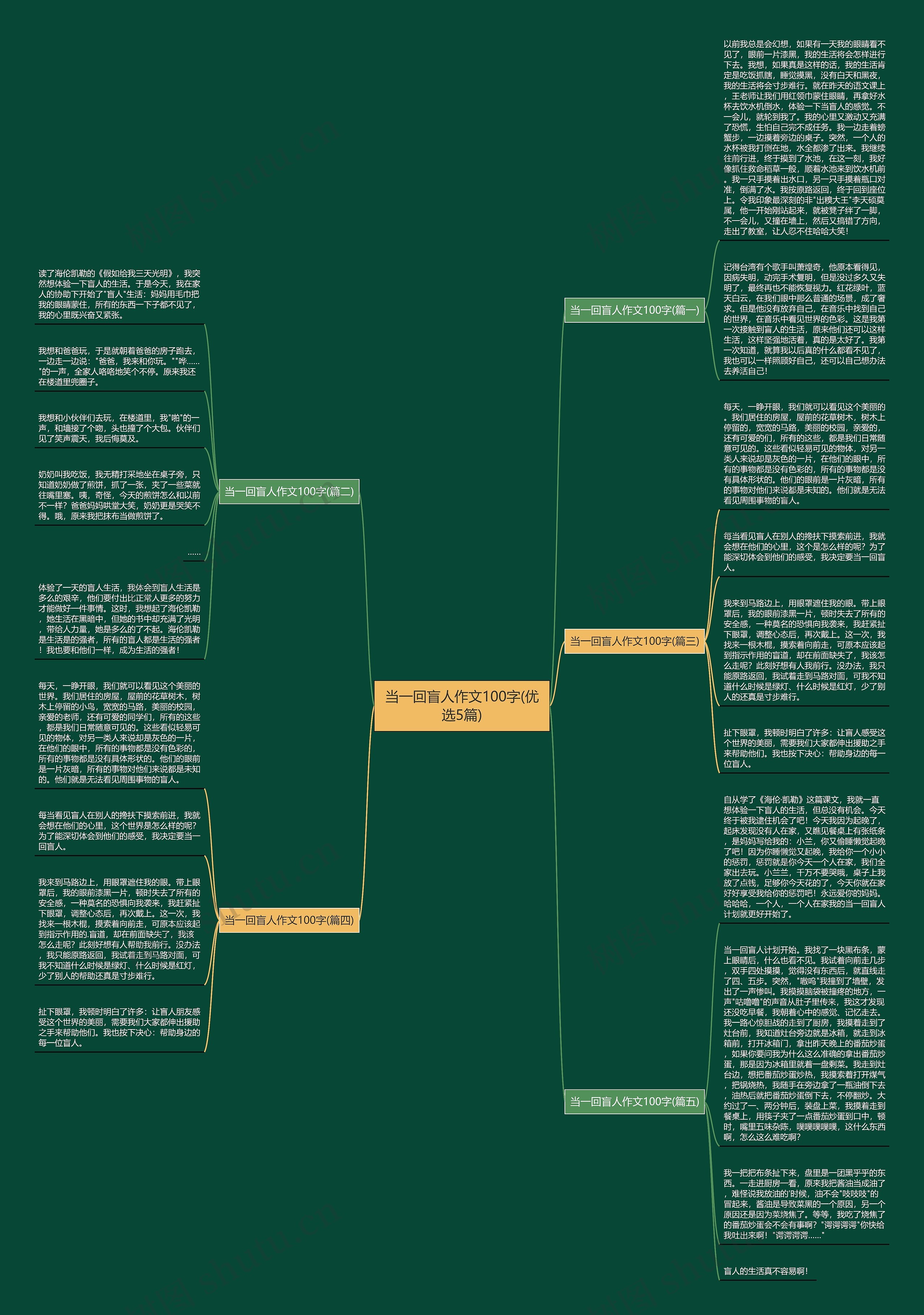 当一回盲人作文100字(优选5篇) 当一回盲人作文100字(优选5篇)