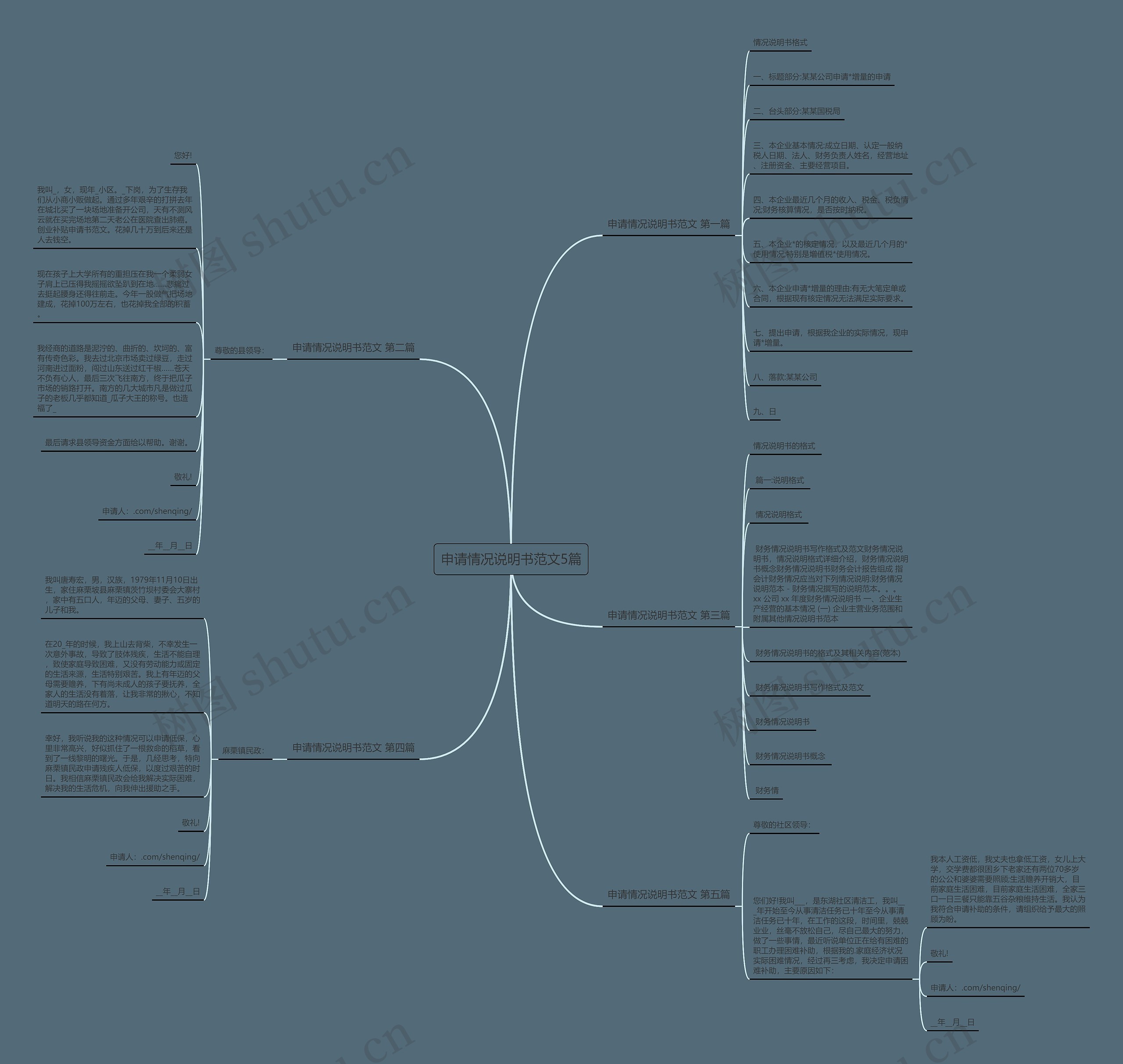 申请情况说明书范文5篇思维导图