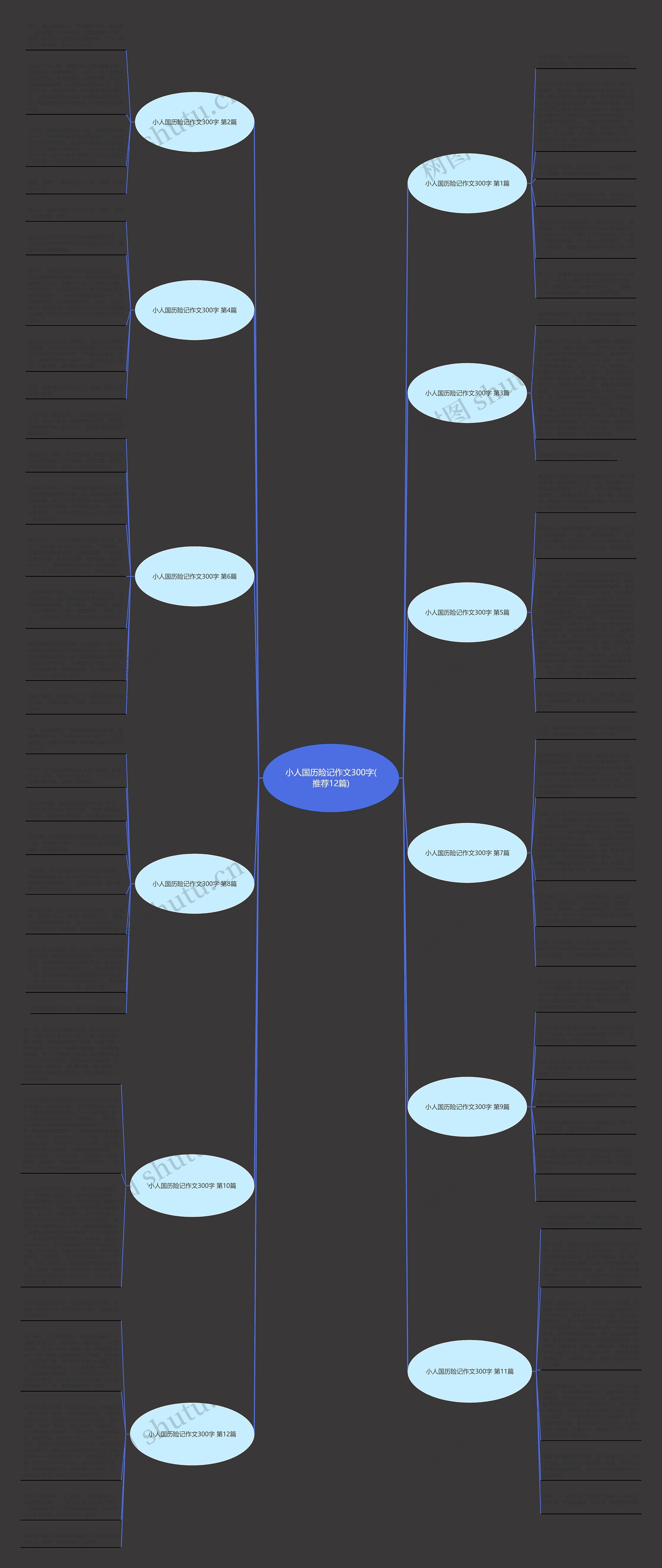 小人国历险记作文300字(推荐12篇)思维导图