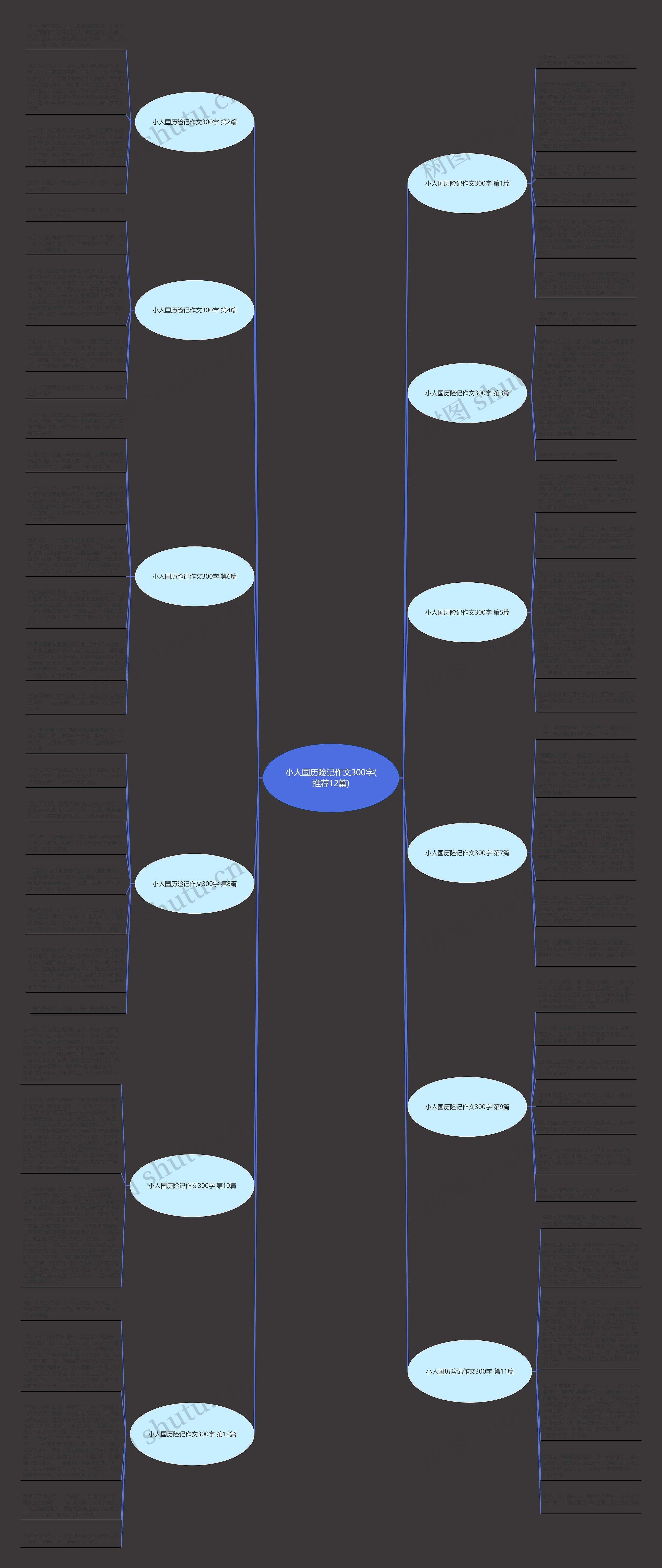 小人国历险记作文300字(推荐12篇) 小人国历险记作文300字(推荐12篇)