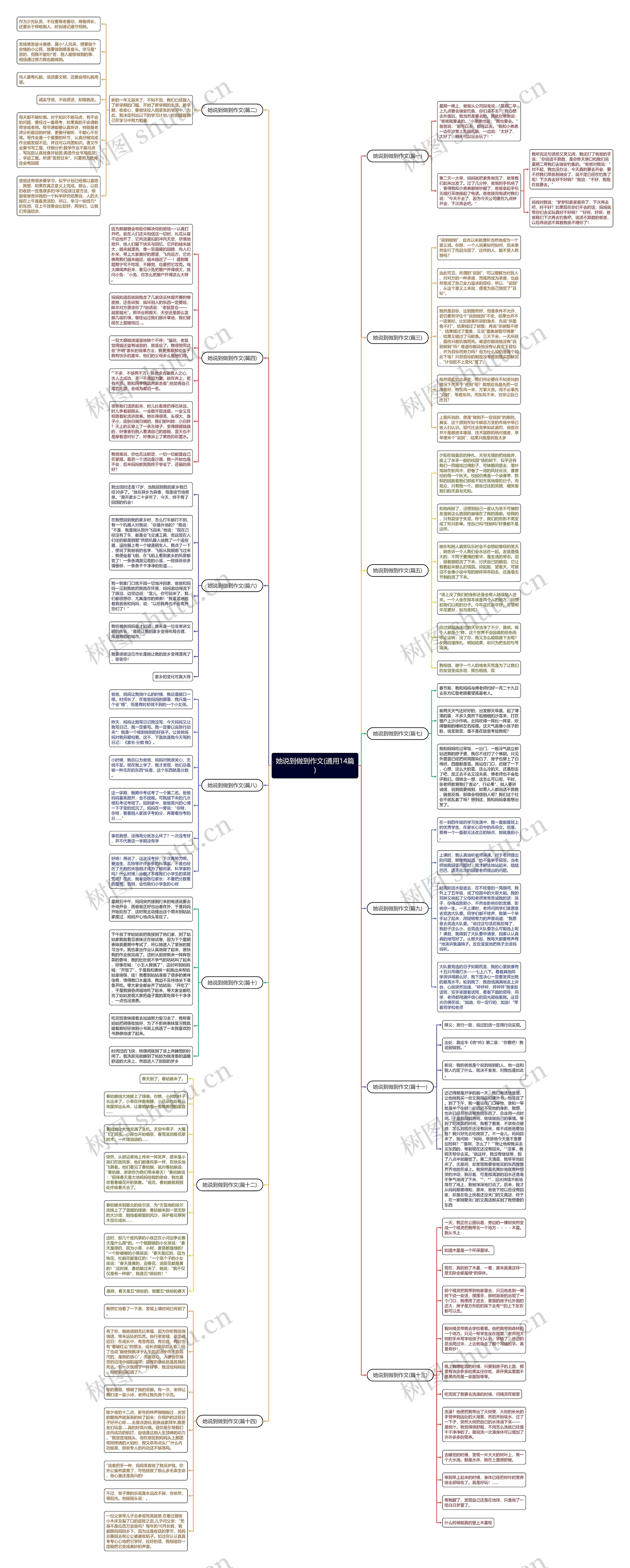 她说到做到作文(通用14篇)思维导图