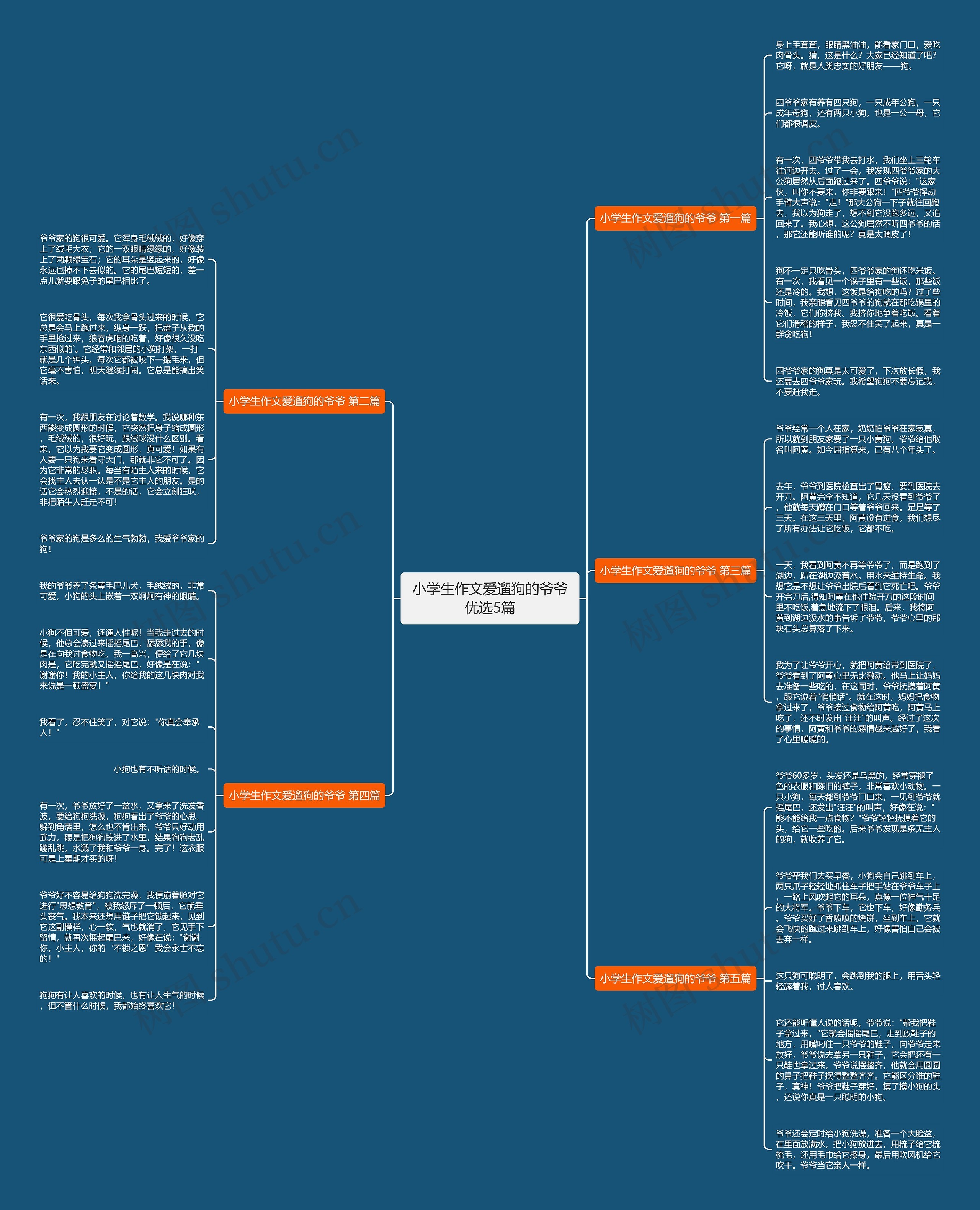 小学生作文爱遛狗的爷爷优选5篇思维导图
