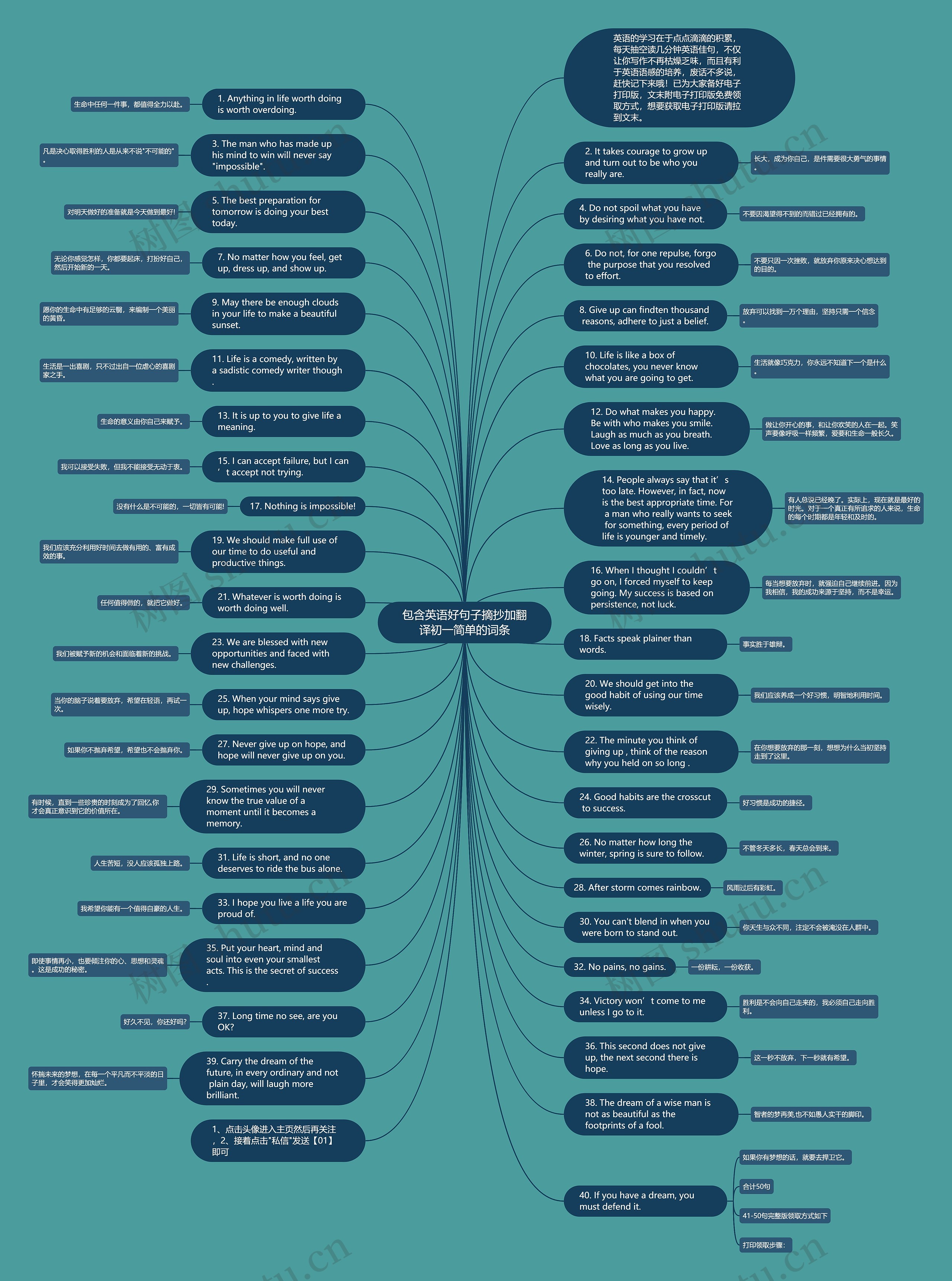 包含英语好句子摘抄加翻译初一简单的词条思维导图