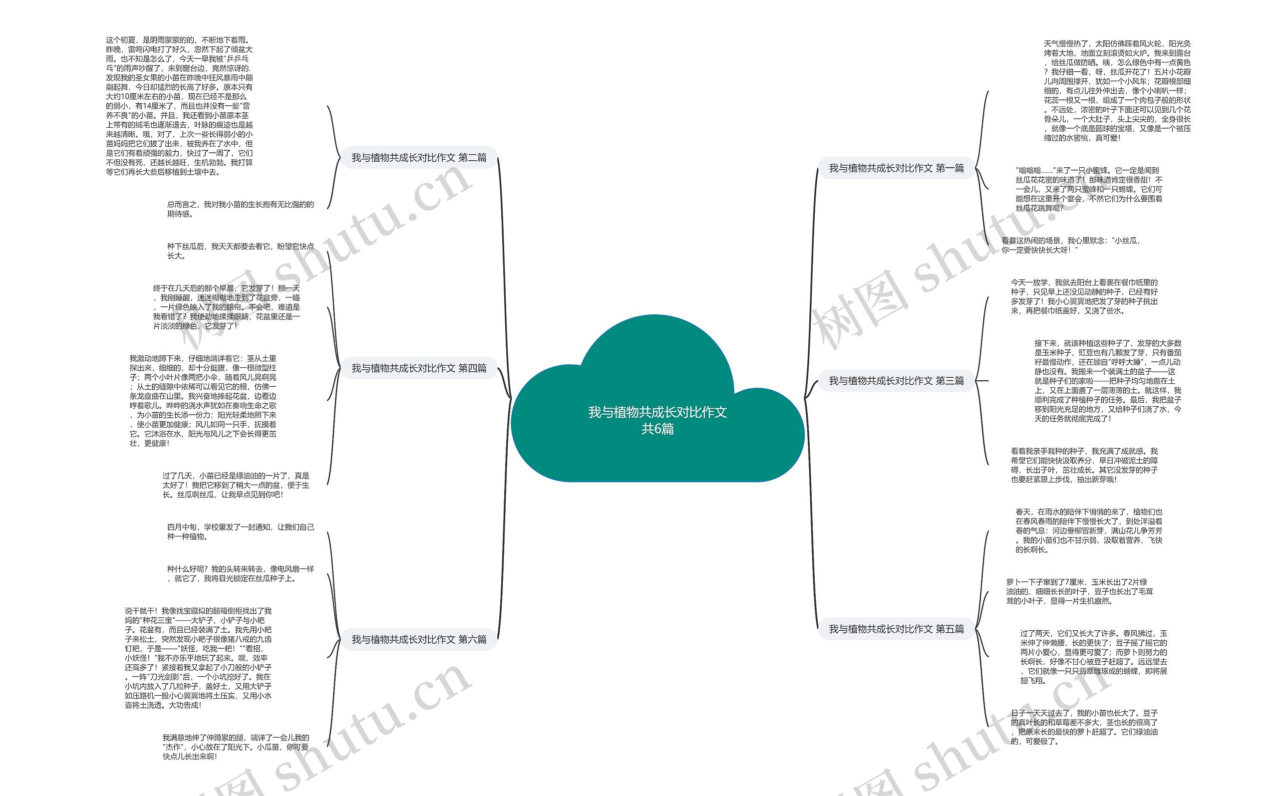 我与植物共成长对比作文共6篇思维导图