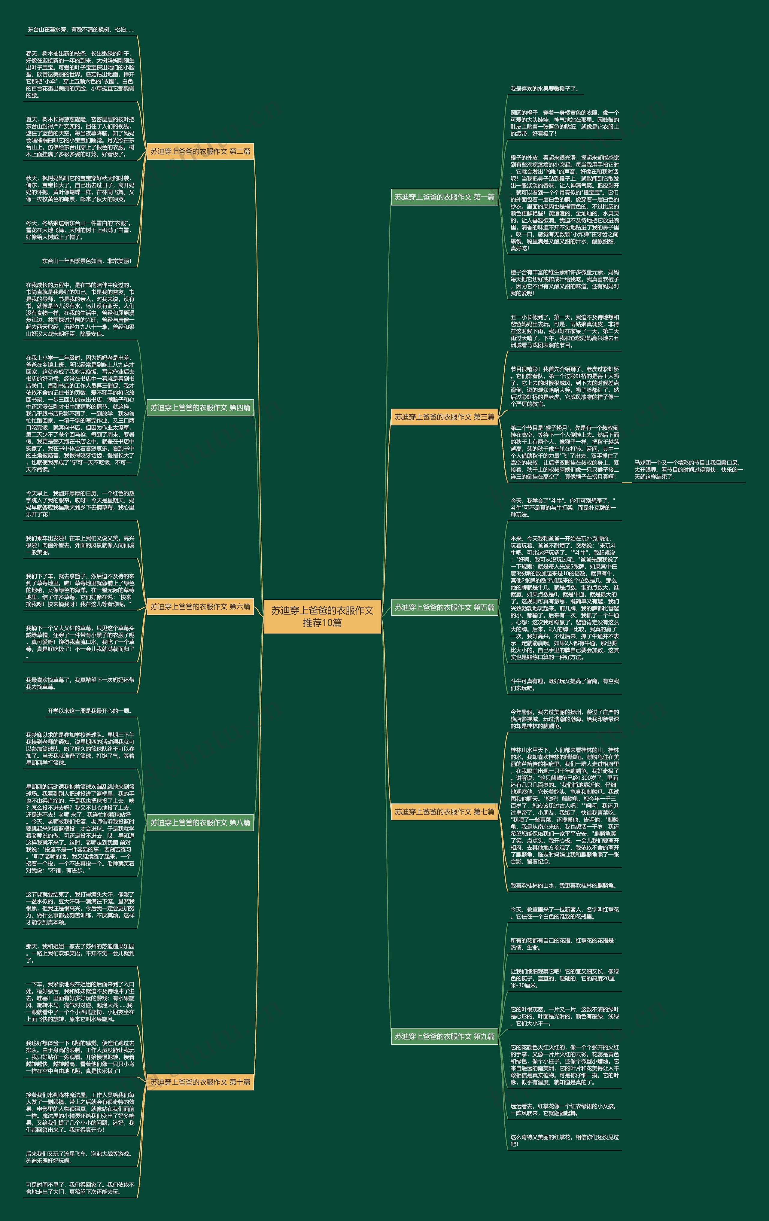 苏迪穿上爸爸的衣服作文推荐10篇 苏迪穿上爸爸的衣服作文推荐10篇