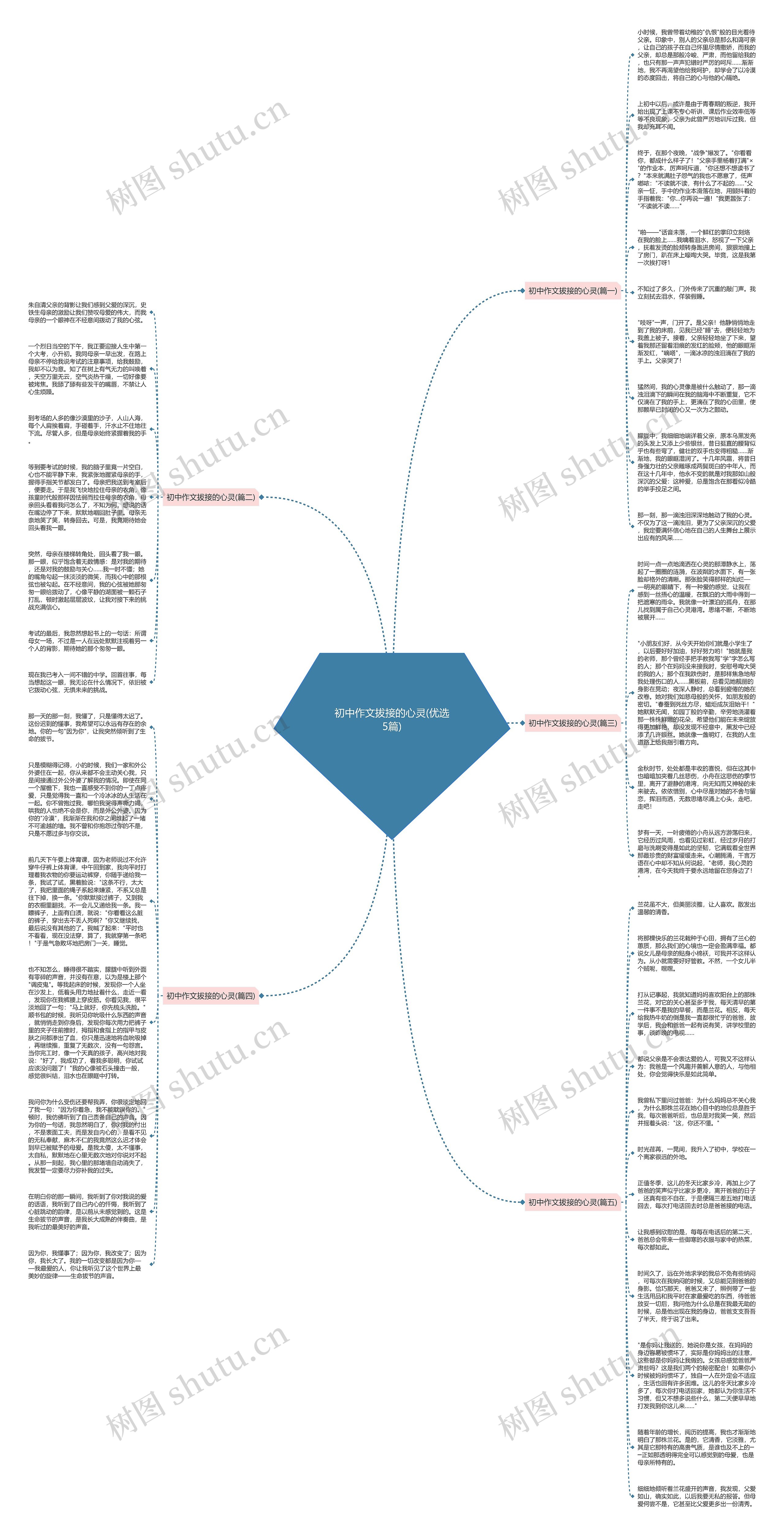 初中作文拔接的心灵(优选5篇)思维导图