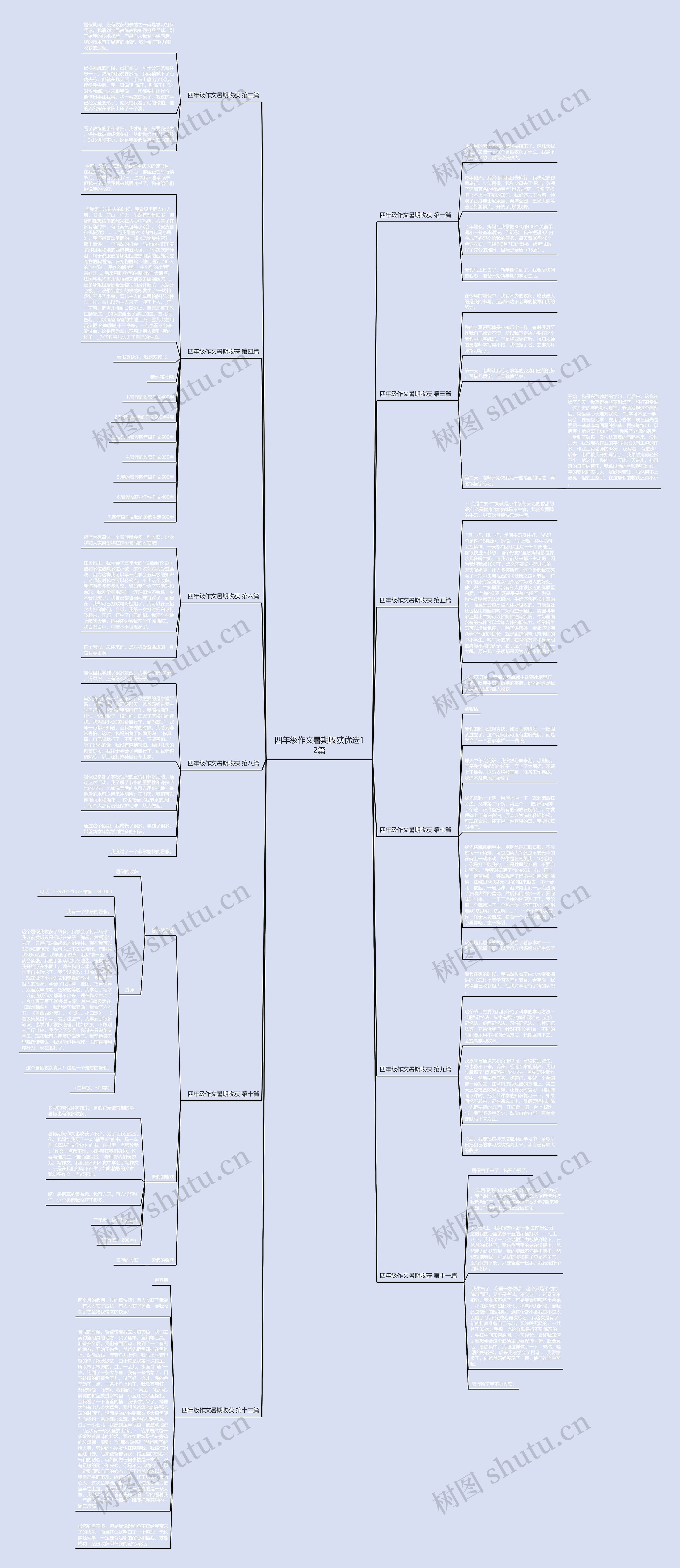 四年级作文暑期收获优选12篇思维导图
