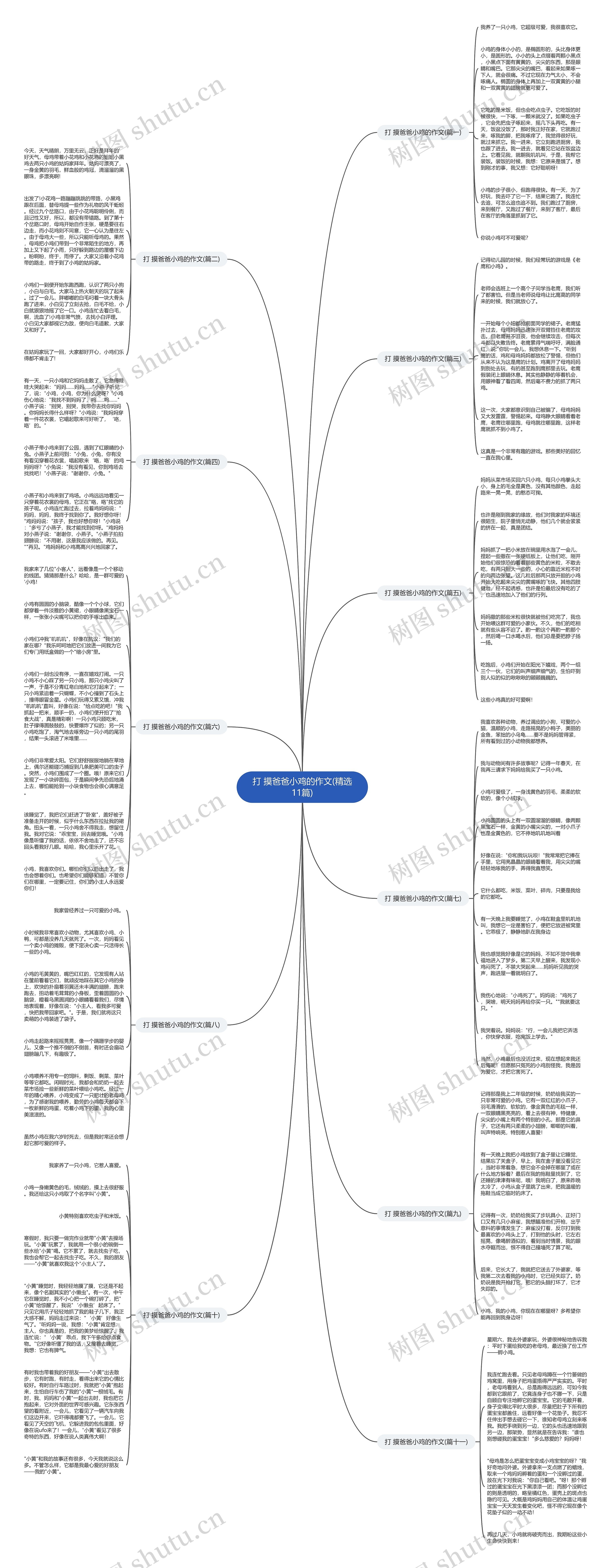 打 摸爸爸小鸡的作文(精选11篇)思维导图