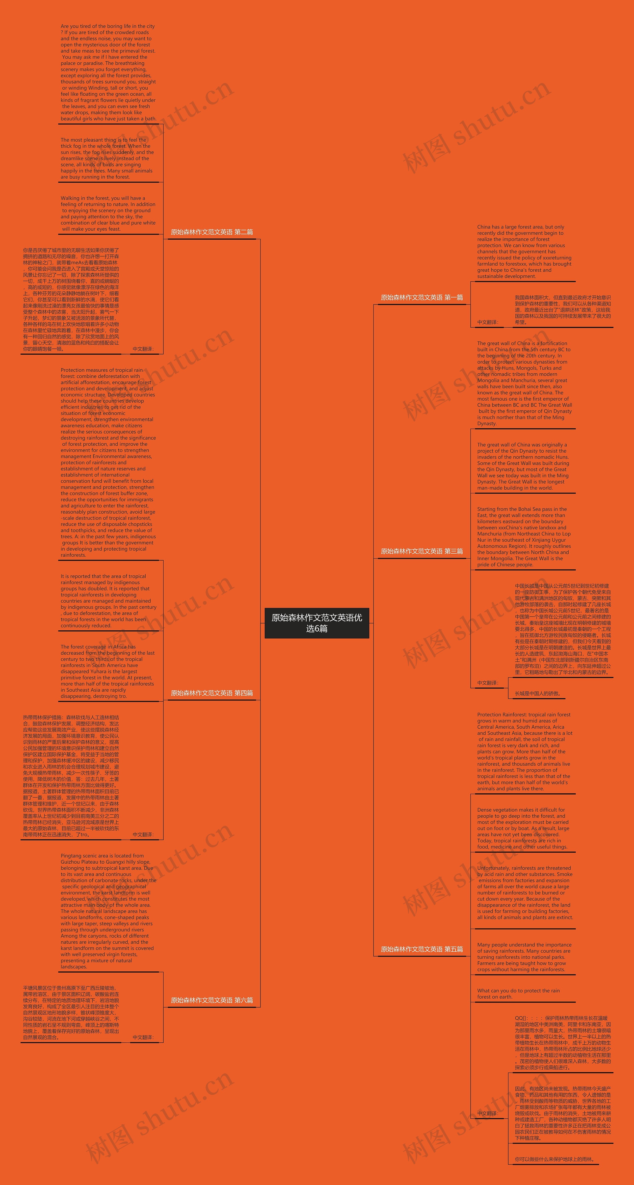 原始森林作文范文英语优选6篇思维导图