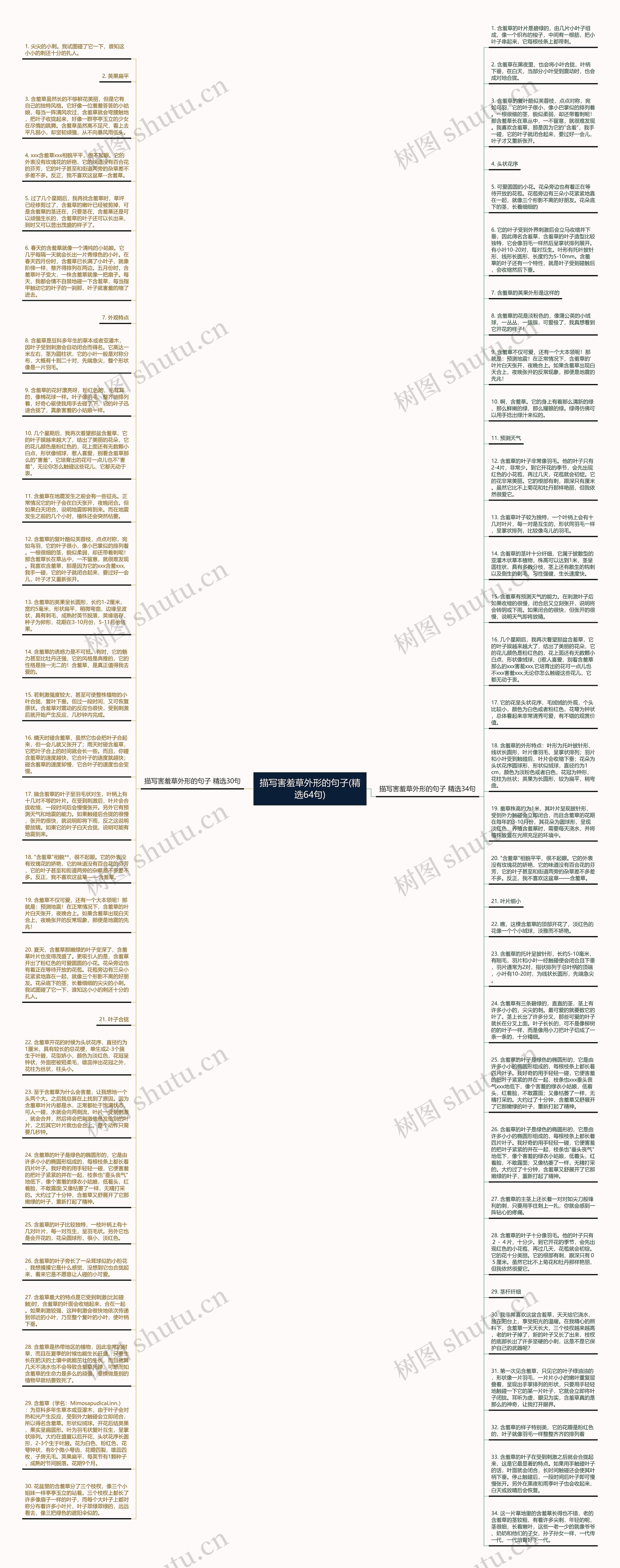 描写害羞草外形的句子(精选64句)思维导图