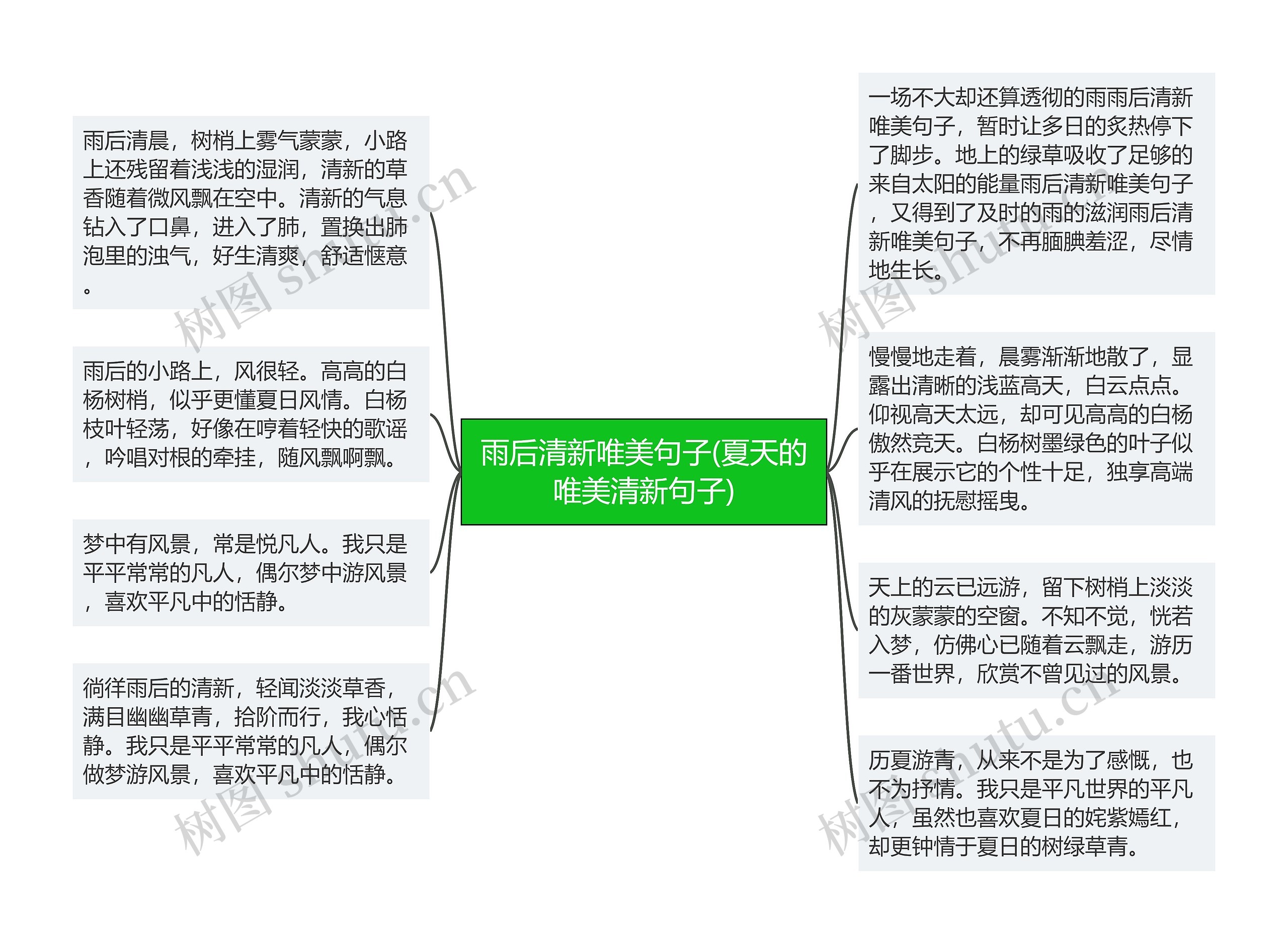 雨后清新唯美句子(夏天的唯美清新句子)